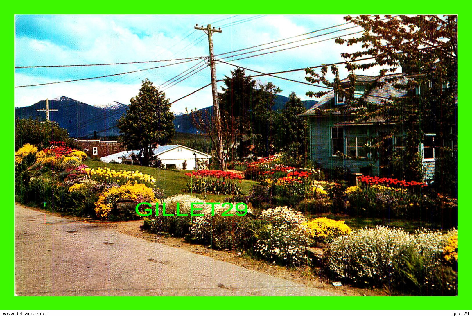 PRINCE RUPERT, BC - BEAUTIFUL GARDEN - TAYLORCHROME - WRATHALL'S - - Prince Rupert