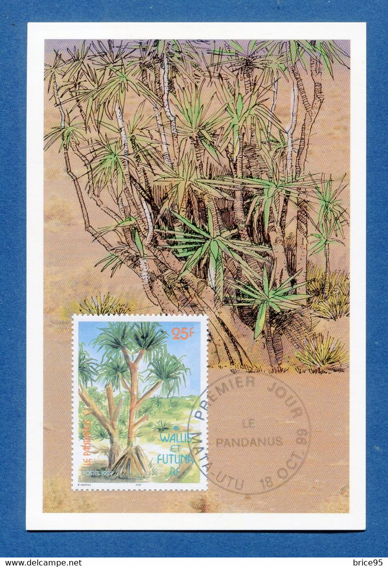 ⭐ Wallis Et Futuna - Carte Maximum - Premier Jour - FDC - Le Pandanus - 1999 ⭐ - Cartes-maximum