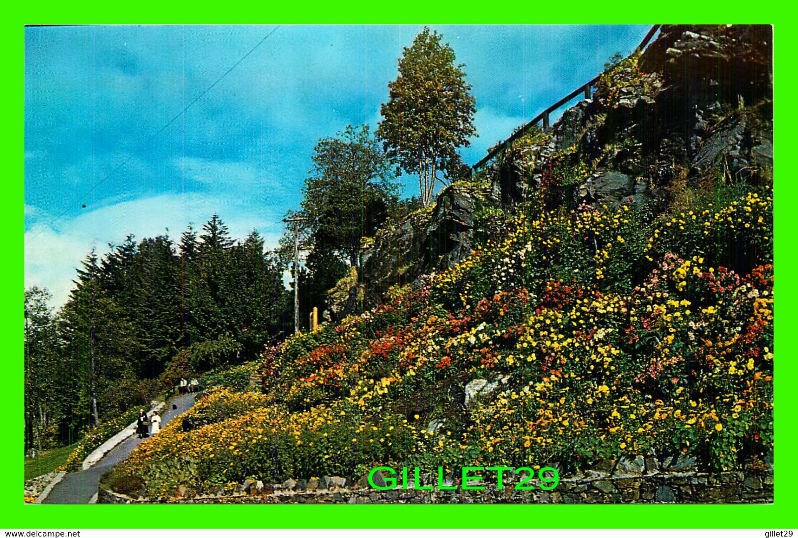 PRINCE RUPERT, BC - THE LARGEST OF THE CIVIC FLOWER GARDENS - TAYLORCHROME - WRATHALL'S - - Prince Rupert