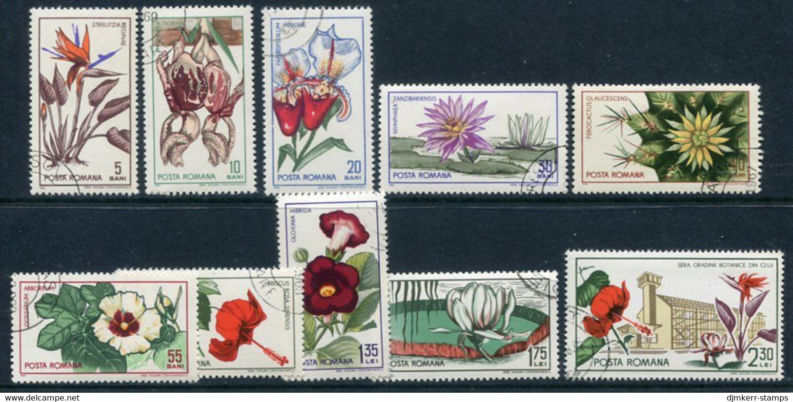 ROMANIA 1965 Cluj Botanic Gardens Used.  Michel 2442-51 - Used Stamps