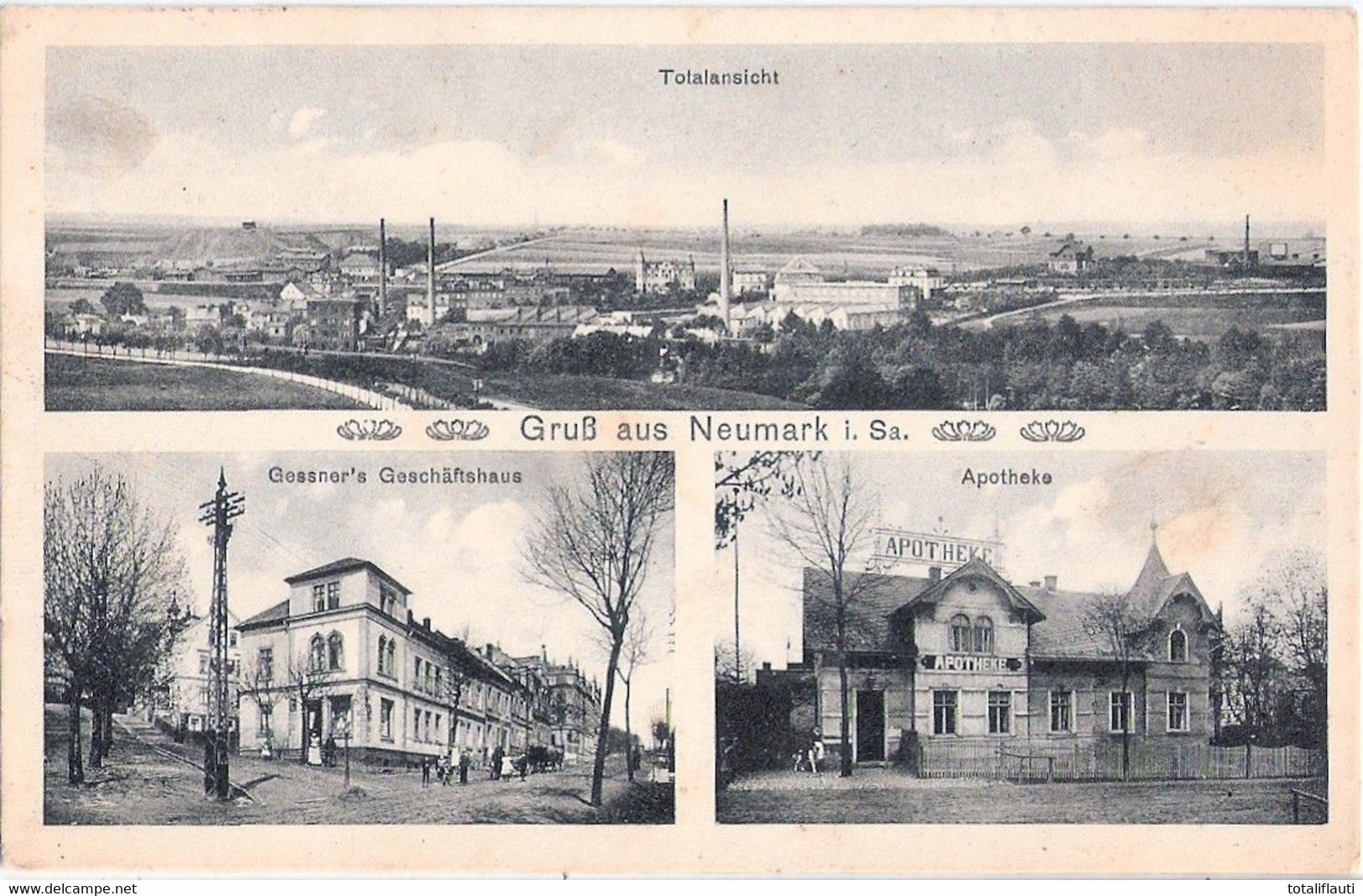 Gruß Aus NEUMARK Sachsen Vogtlandkreis Gessners Geachäftshaus Apotheke Total Belebt 15.4.1916 Gelaufen - Vogtland
