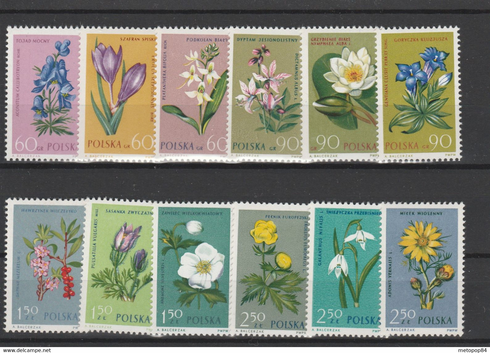 Poland 1962 Protected Plants MNH - Andere & Zonder Classificatie