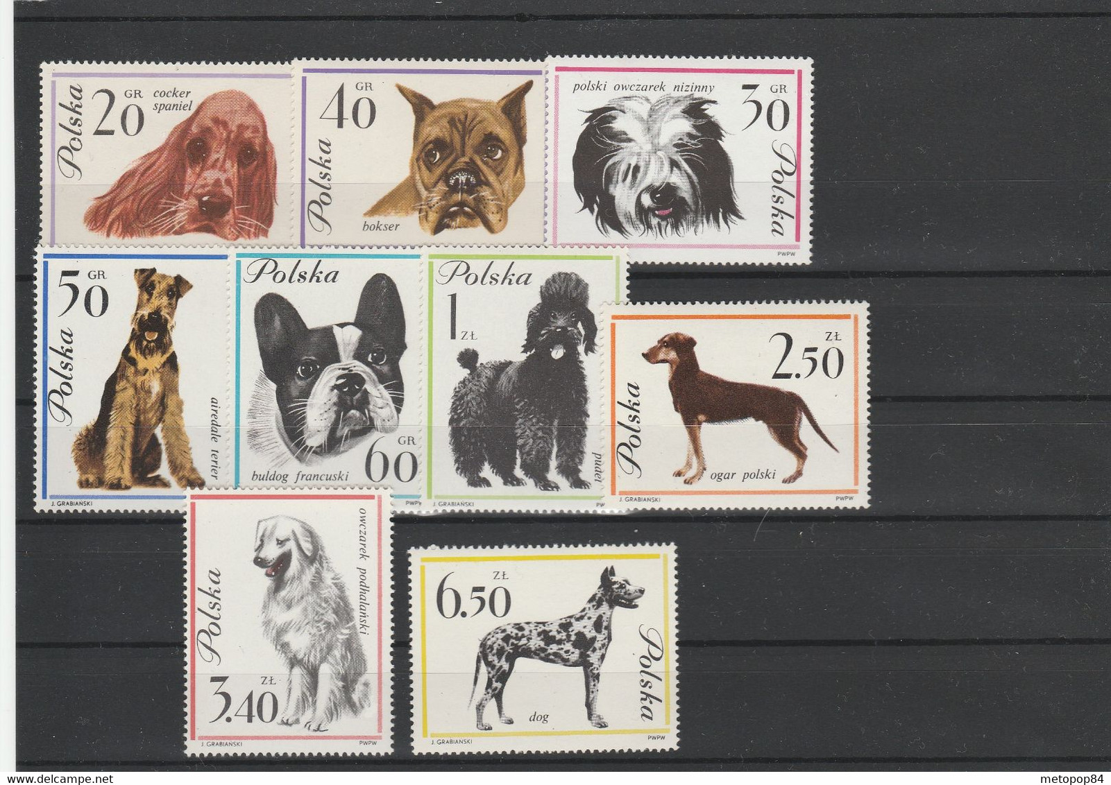 Poland 1963 Dogs MNH - Andere & Zonder Classificatie