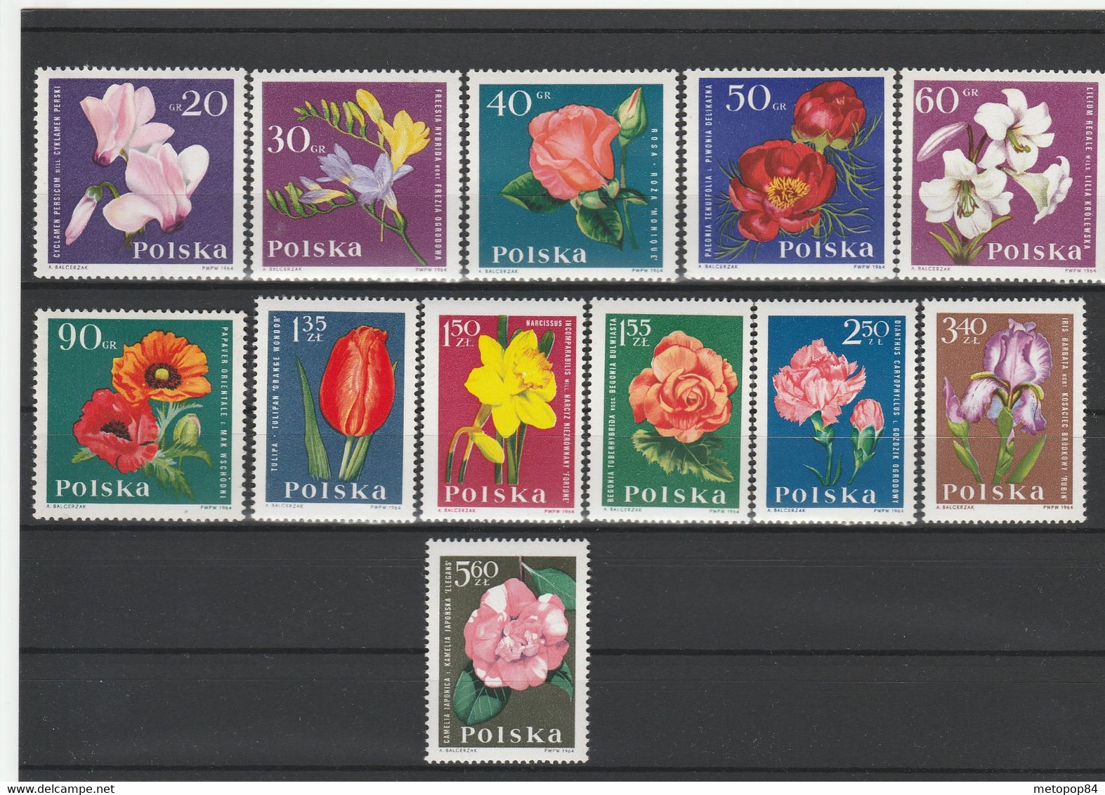 Poland 1964 Flowers MNH - Sonstige & Ohne Zuordnung