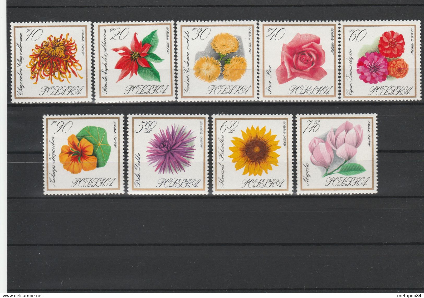 Poland 1966 Flowers MNH - Autres & Non Classés