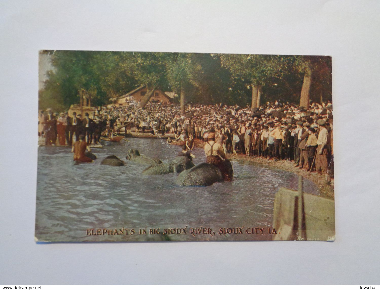 Sioux City. - Elephants In Big Sioux River. (7 - 1 - 1913) - Sioux City