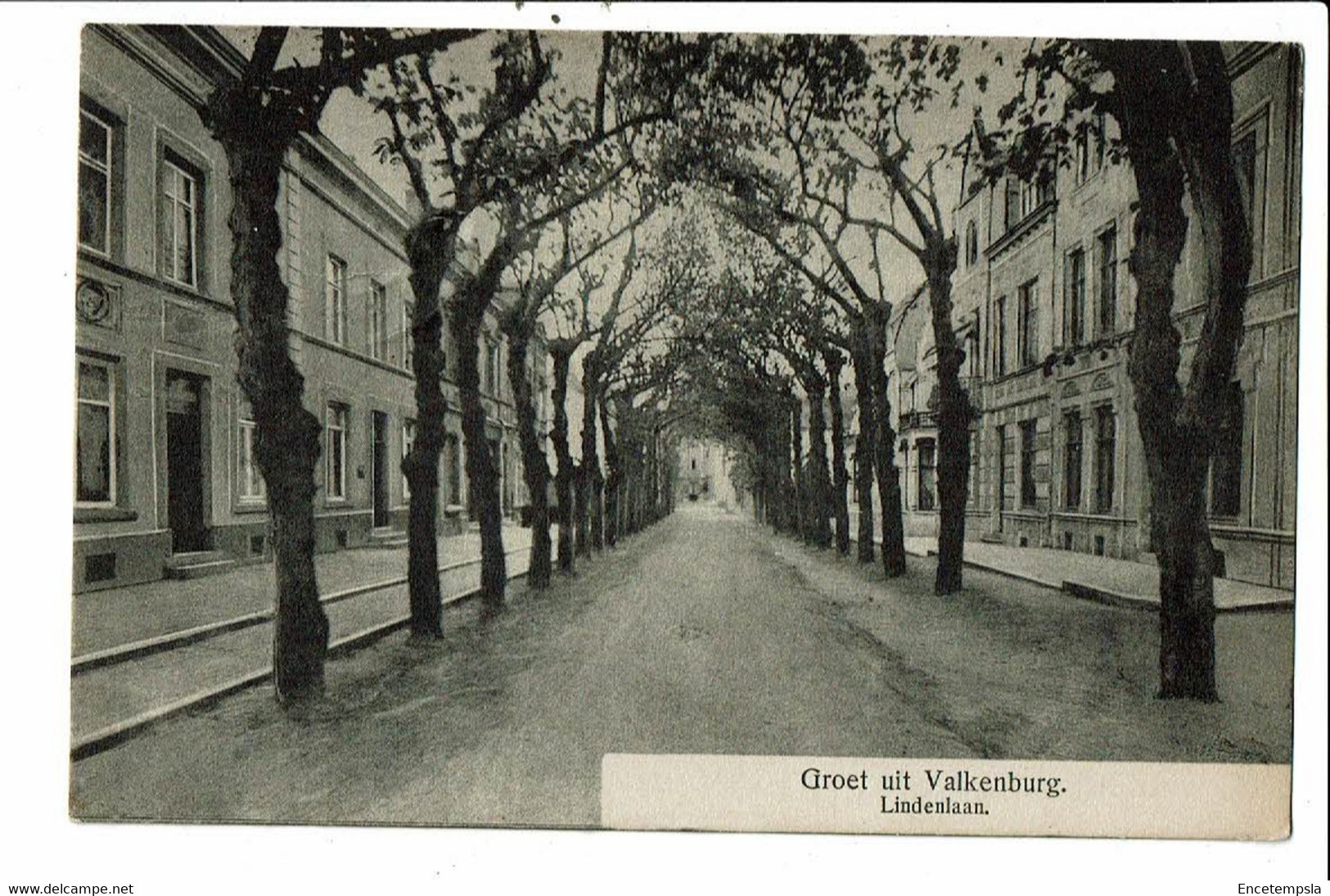 CPA Carte Postale Pays Bas- Valkenburg -Groet Uit Valkenburg Lindenlaan -1911-VM24175br - Valkenburg