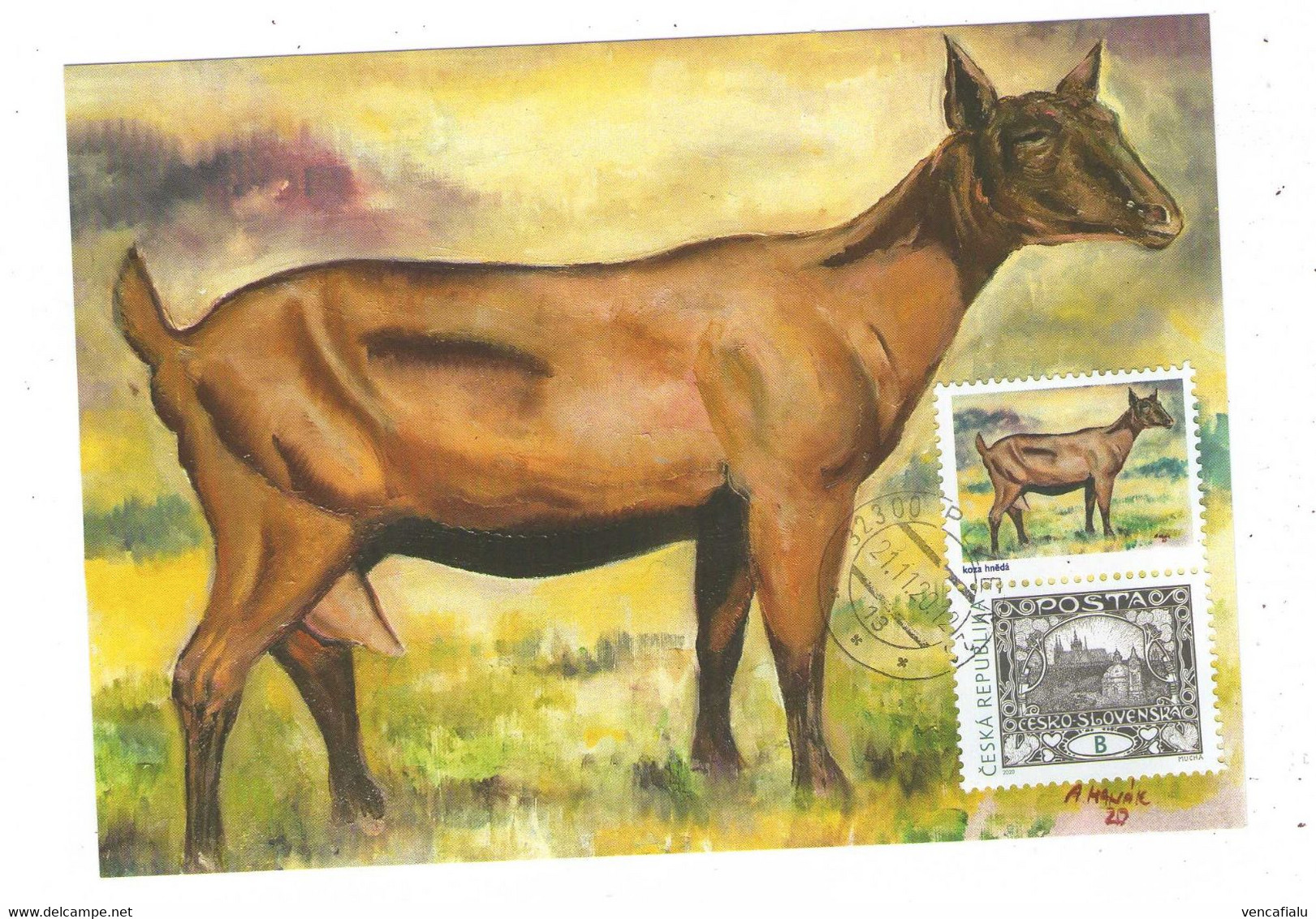 Czech Republic 2020 - Domestic Czech Browen Goat, Cartes Maximum With Special Cupon With Stamp - Farm