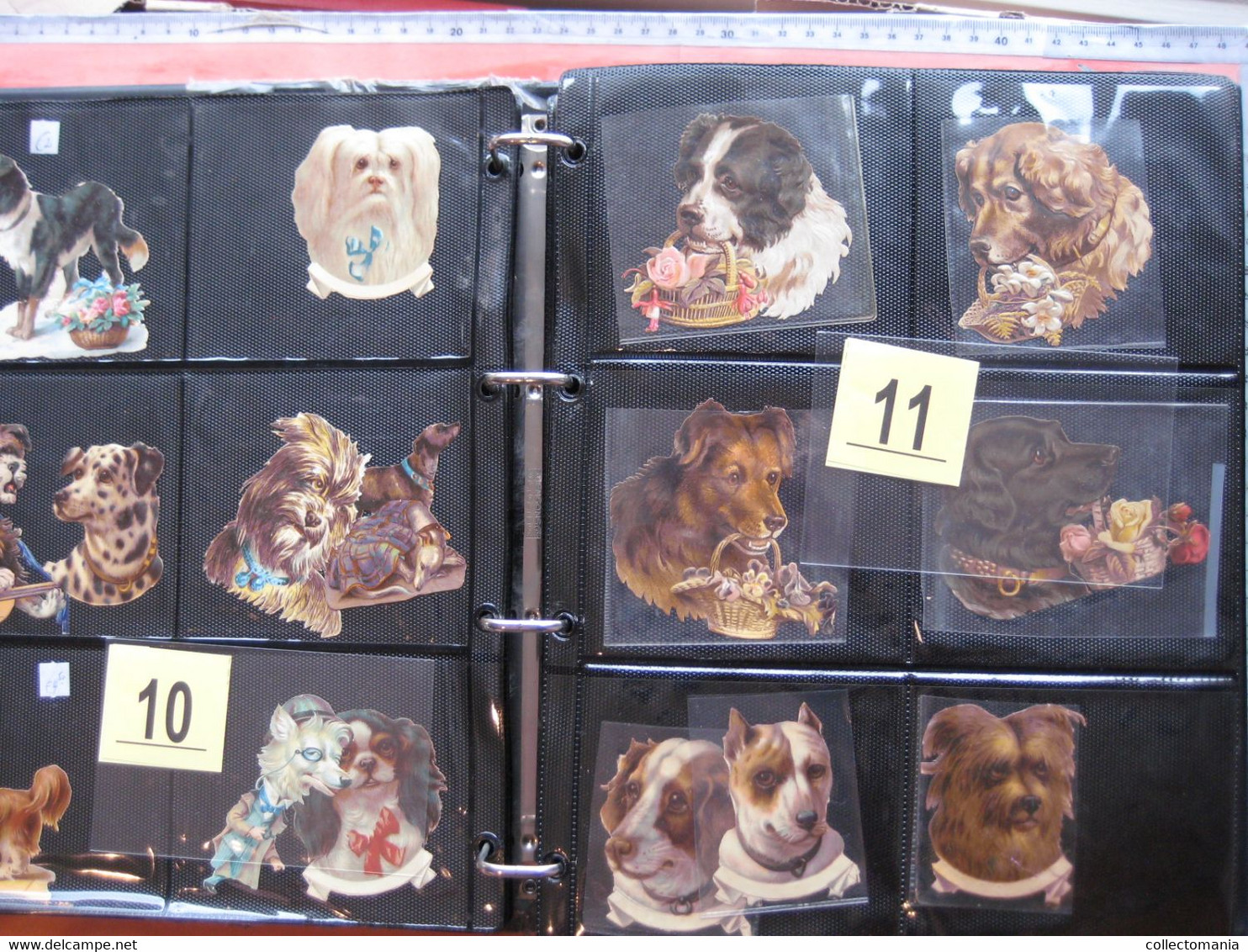 SCRAPS_MAP25 COLLECTION anno 1880 à 1900 Litho prints (count yourself ) die-cuts anthropomorph Dogs Hunden Chien