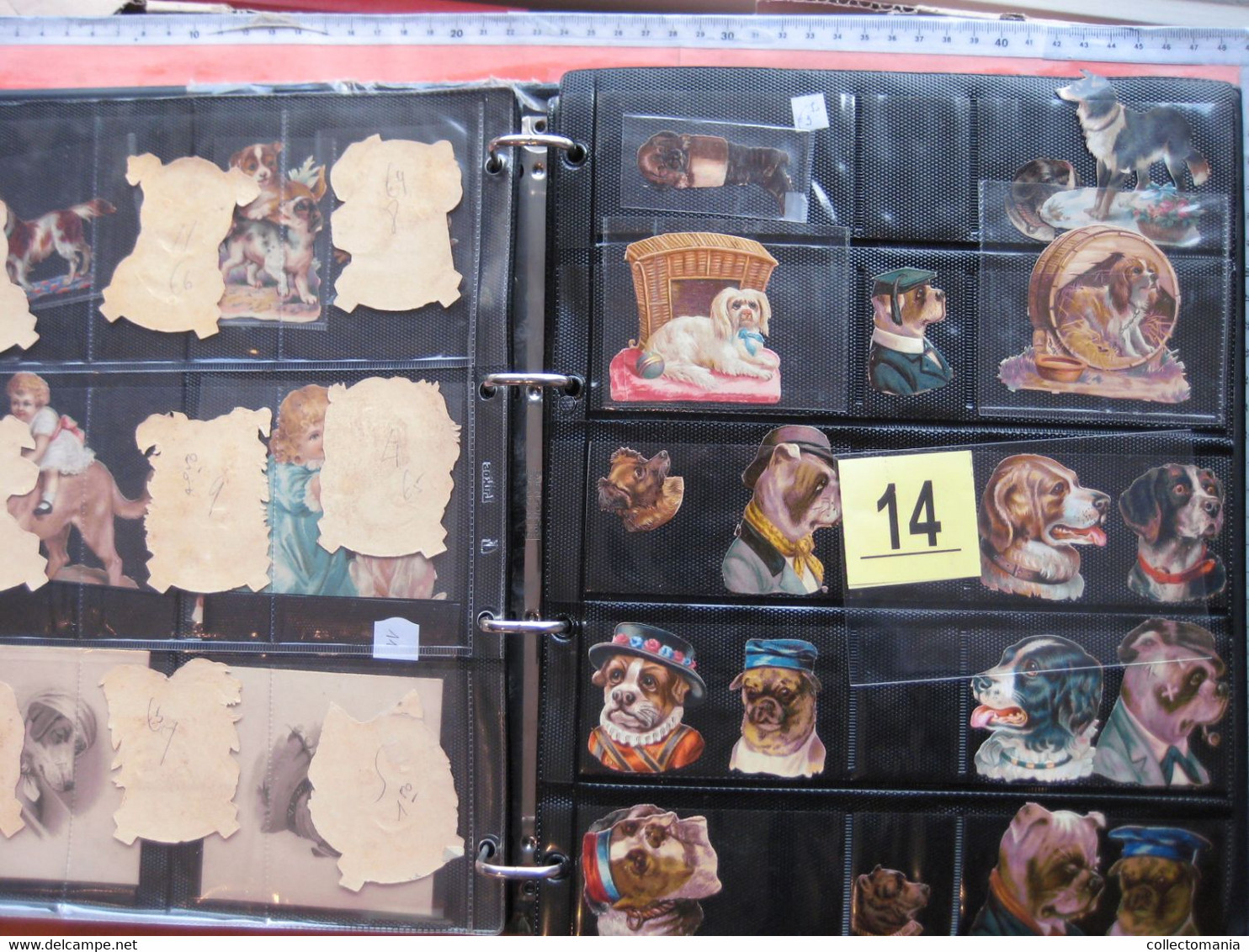 SCRAPS_MAP25 COLLECTION anno 1880 à 1900 Litho prints (count yourself ) die-cuts anthropomorph Dogs Hunden Chien