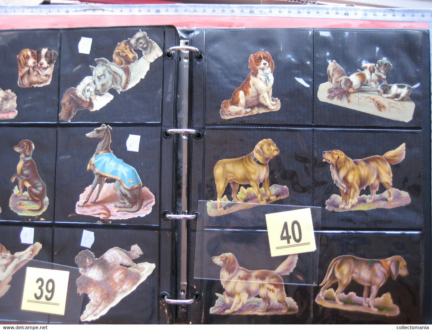 SCRAPS_MAP25 COLLECTION anno 1880 à 1900 Litho prints (count yourself ) die-cuts anthropomorph Dogs Hunden Chien