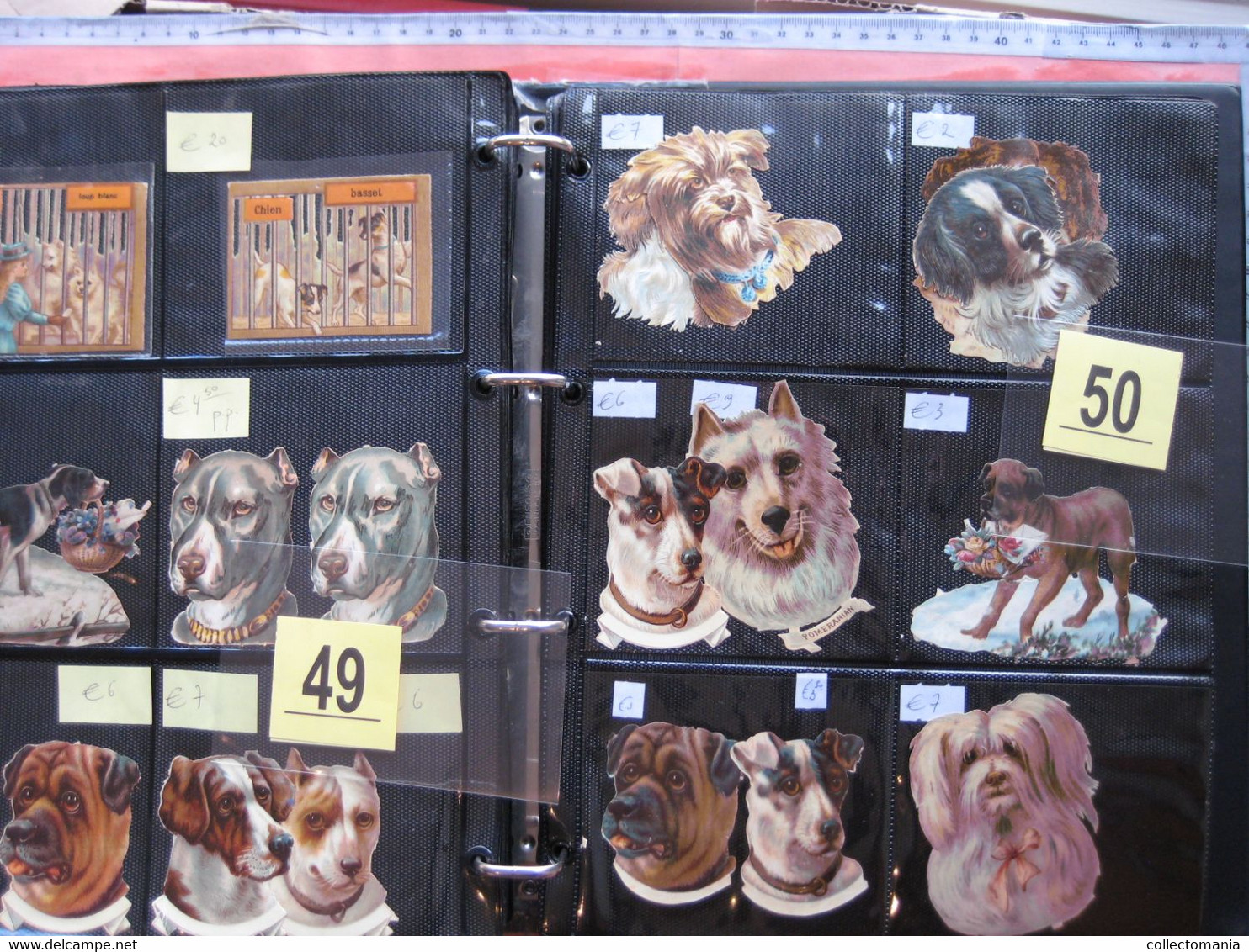 SCRAPS_MAP25 COLLECTION anno 1880 à 1900 Litho prints (count yourself ) die-cuts anthropomorph Dogs Hunden Chien