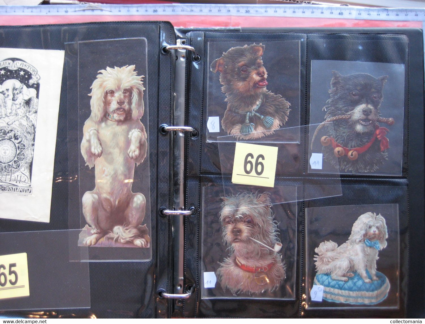 SCRAPS_MAP25 COLLECTION anno 1880 à 1900 Litho prints (count yourself ) die-cuts anthropomorph Dogs Hunden Chien