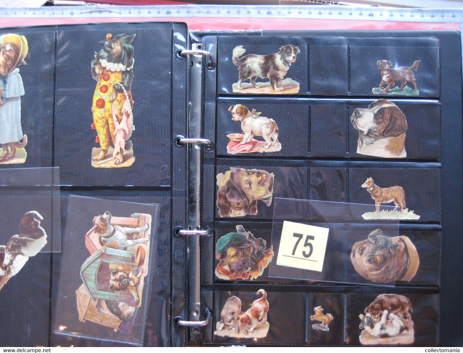 SCRAPS_MAP25 COLLECTION anno 1880 à 1900 Litho prints (count yourself ) die-cuts anthropomorph Dogs Hunden Chien