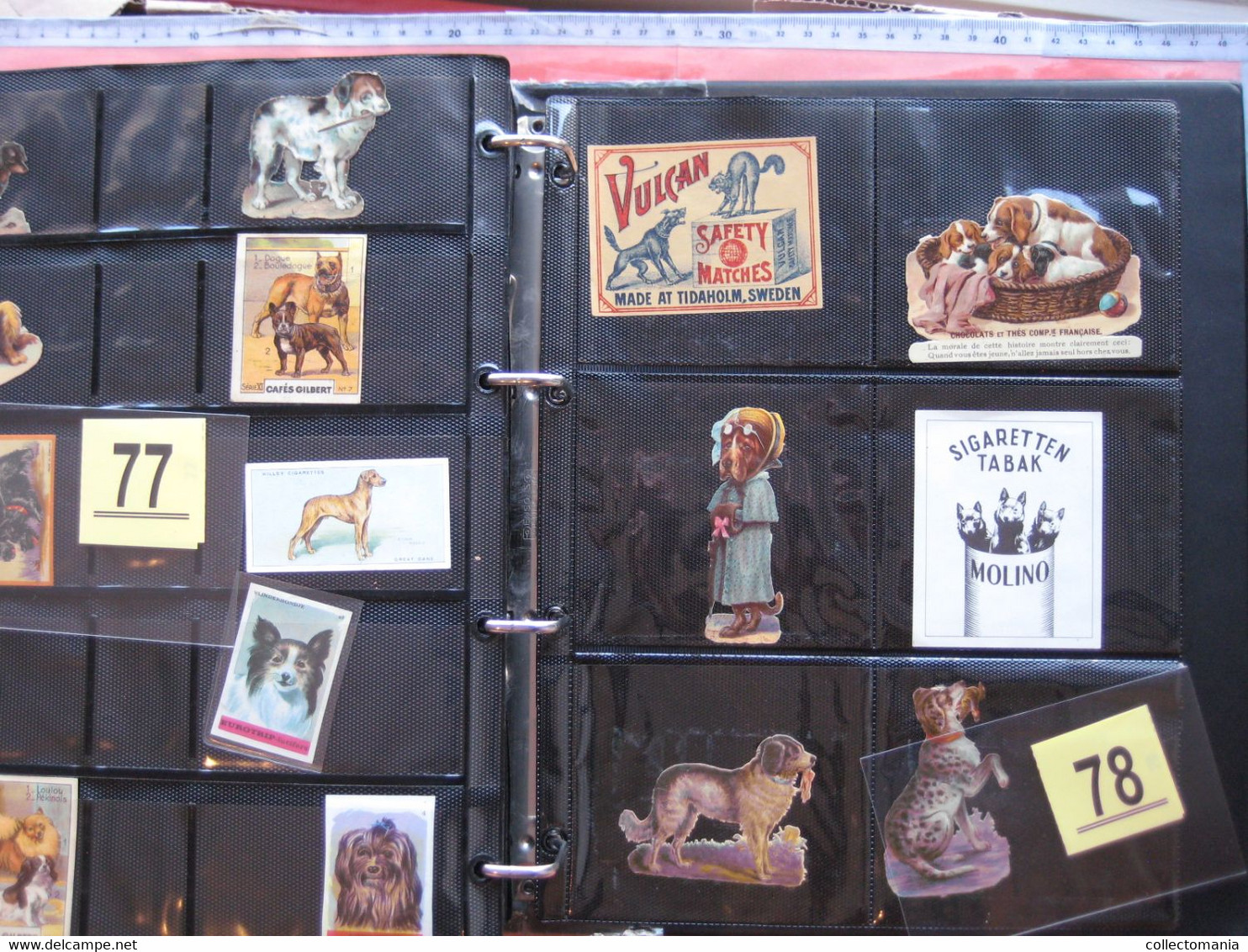 SCRAPS_MAP25 COLLECTION anno 1880 à 1900 Litho prints (count yourself ) die-cuts anthropomorph Dogs Hunden Chien