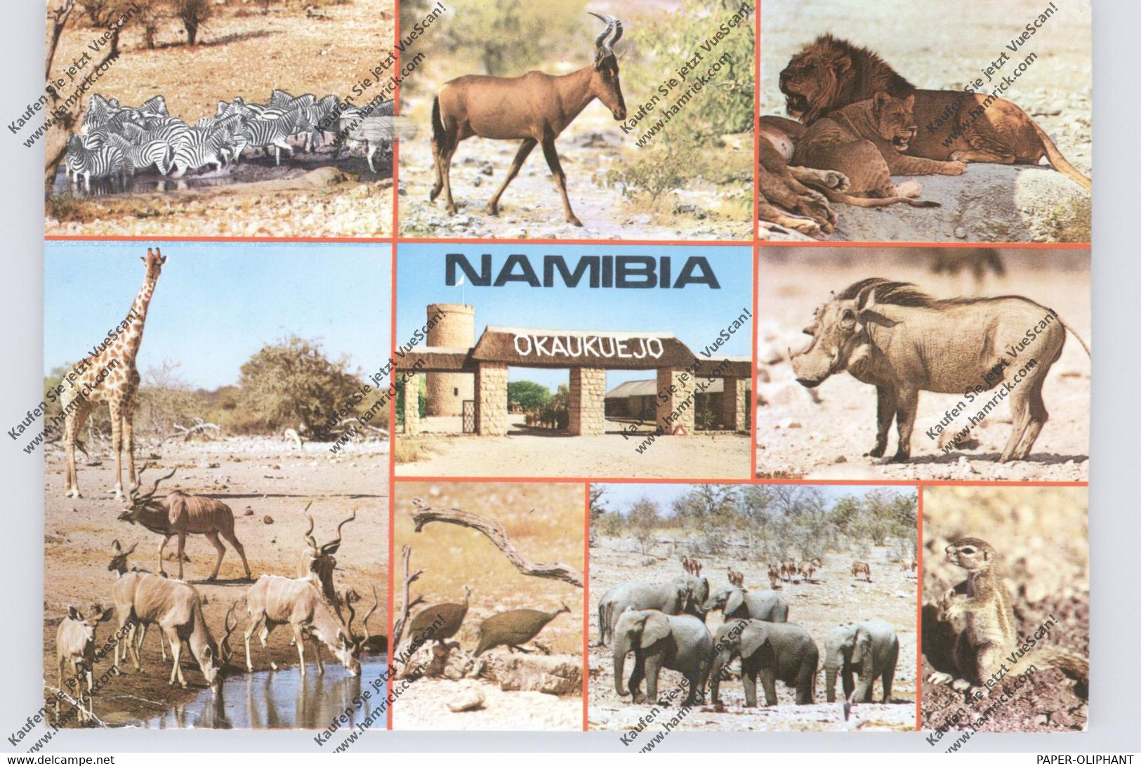 NAMIBIA - Wild Life, Etosha - Namibië