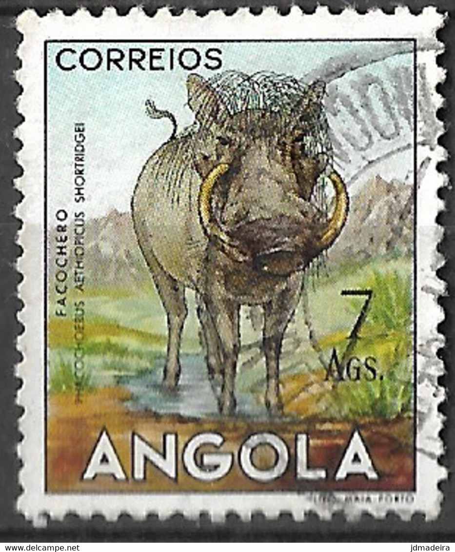 Angola – 1953 Animals 7 Angolares - Angola