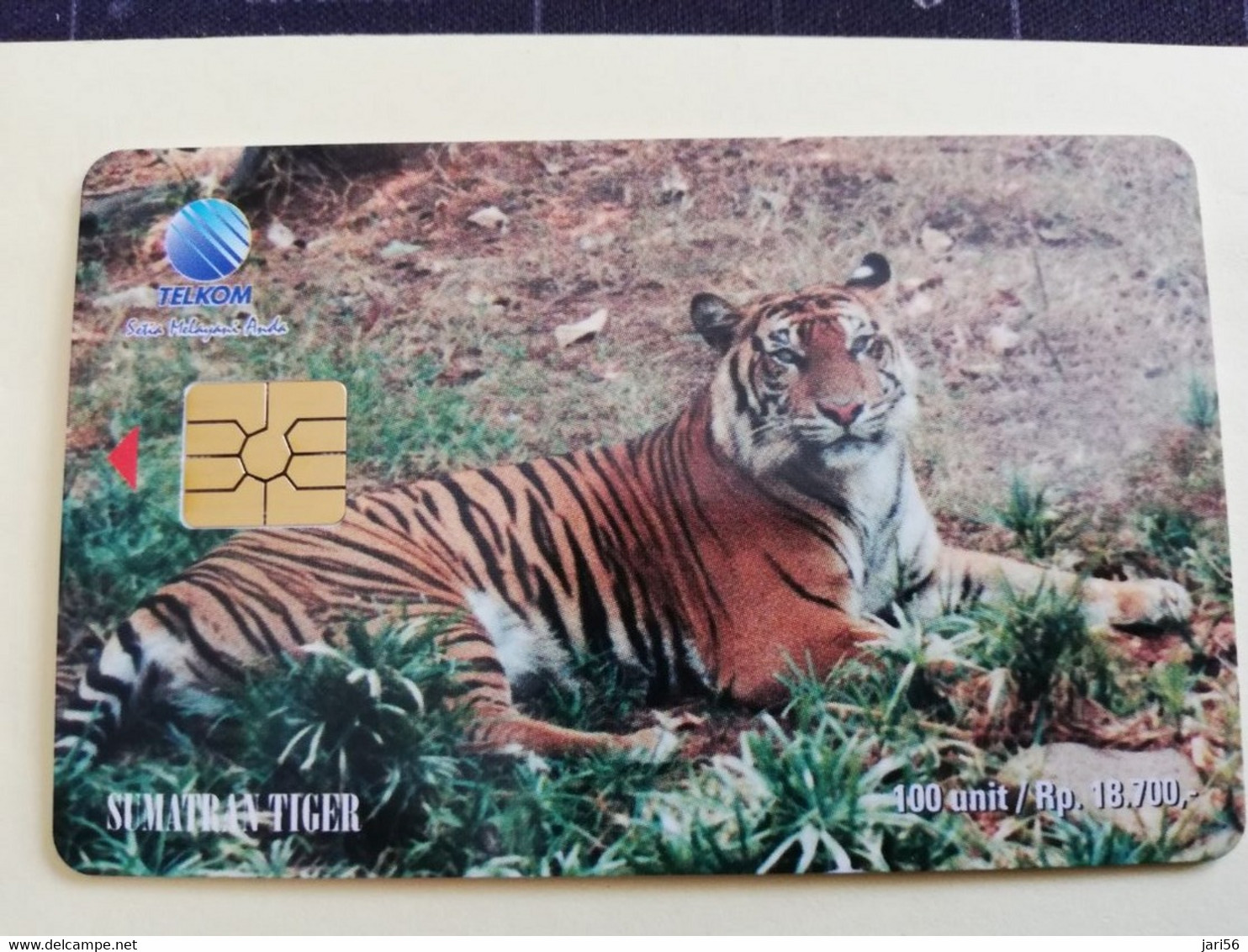 INDONESIA CHIPCARD 100  UNITS    SUMATRAN / BENGAL TIGER          Fine Used Card   **3888 ** - Indonesien