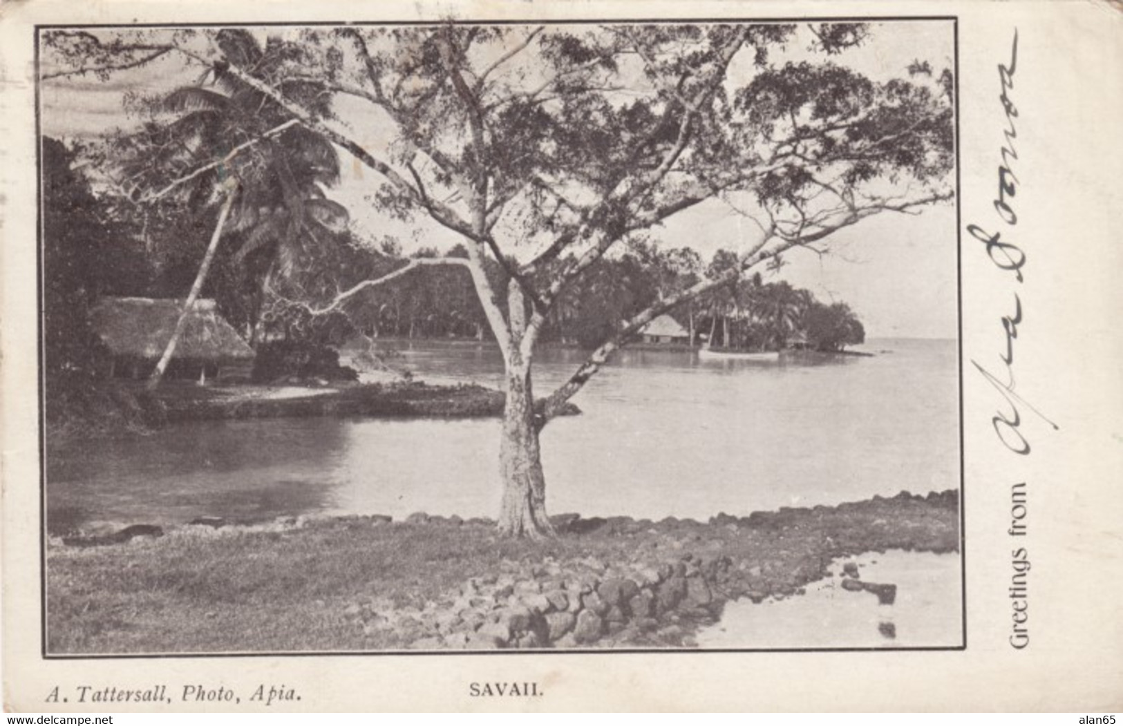 Samoa, Greetings From Apia, Savii Village On Water C1900s Vintage Postcard - Samoa