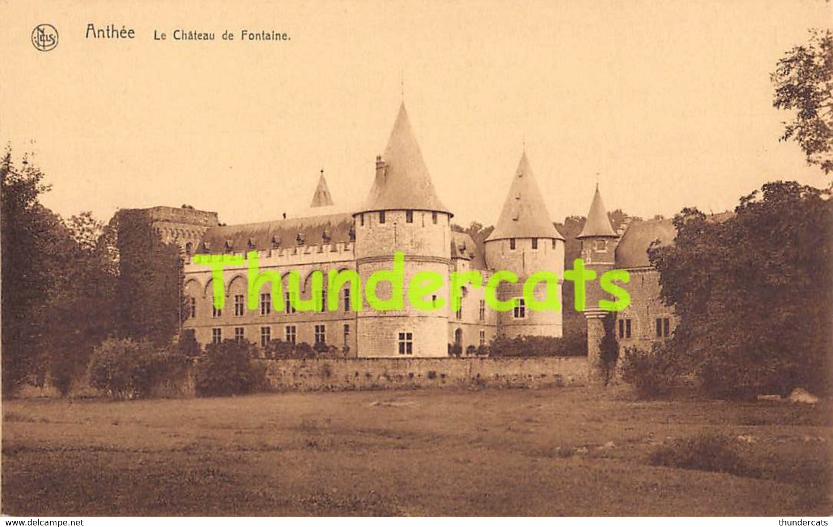 CPA ANTHEE LE CHATEAU DE FONTAINE - Onhaye