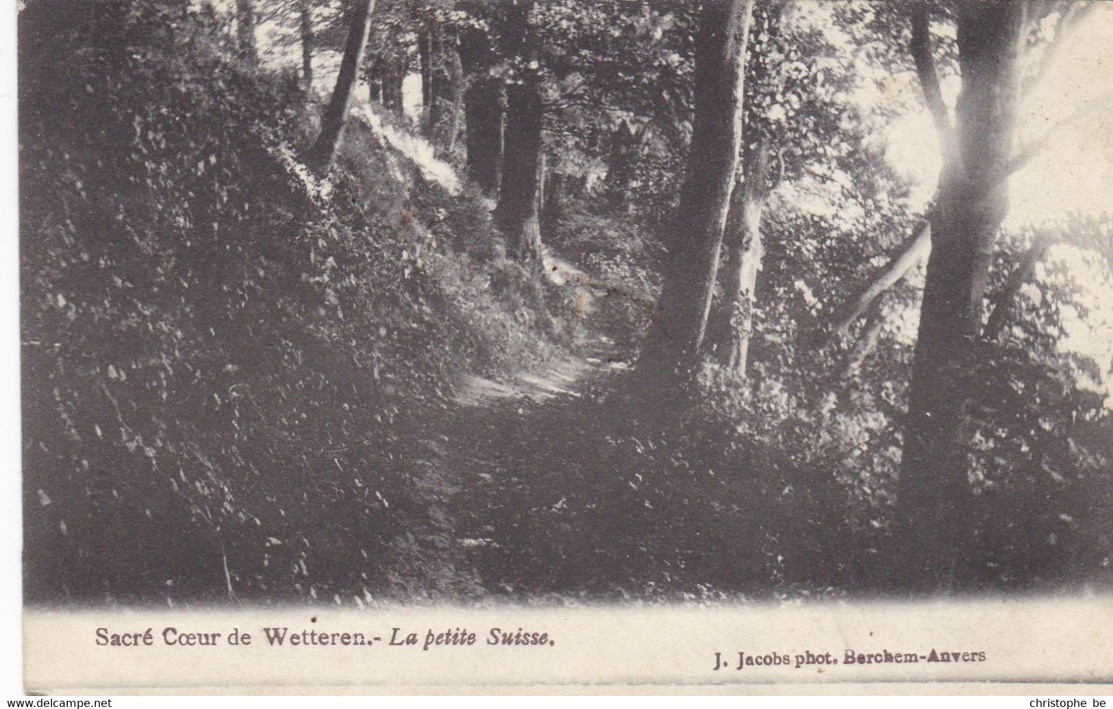 Wetteren, Sacré Coeur, La Petite Suisse (pk74165) - Wetteren