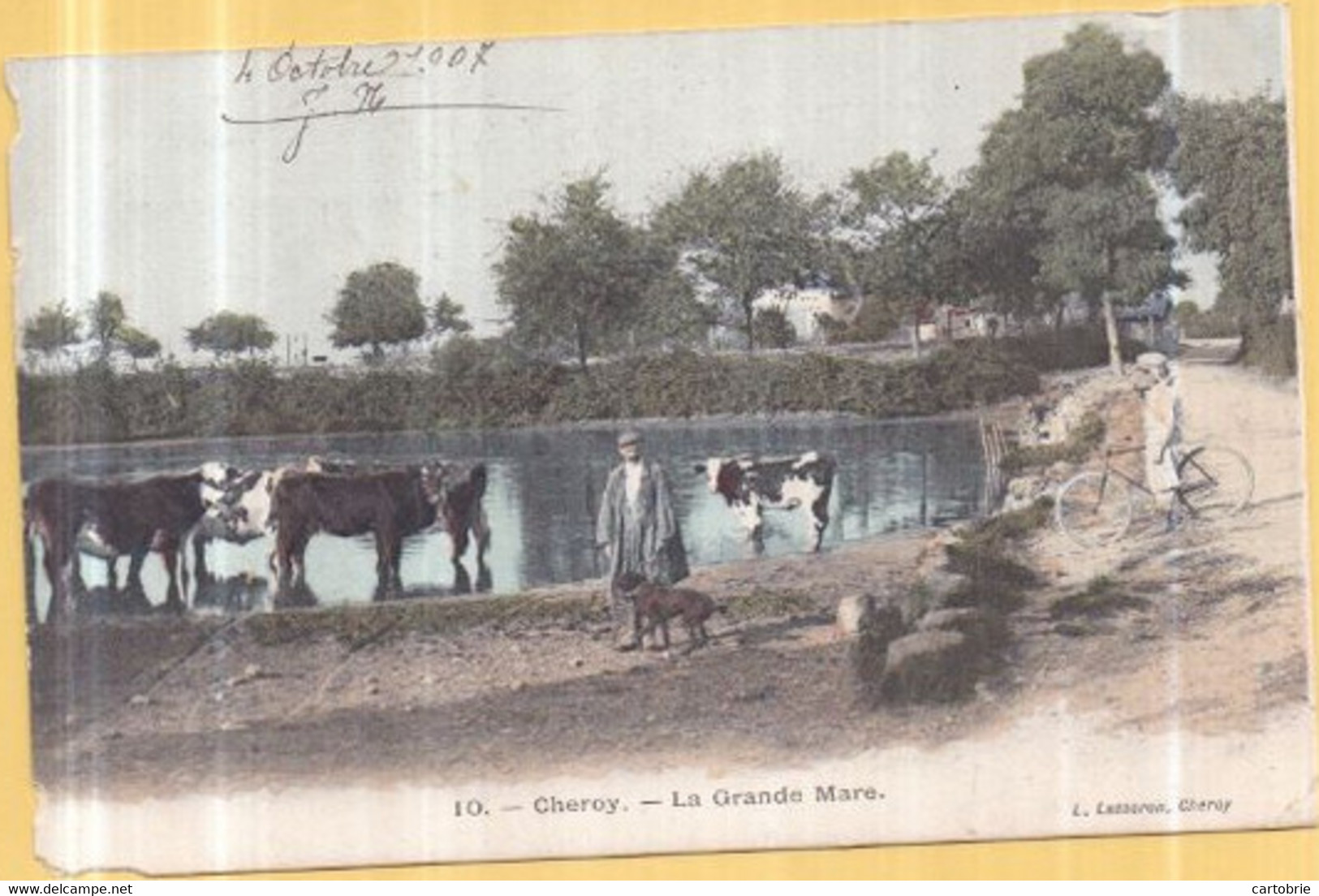 Dépt 89 - CHÉROY - La Grande Mare - Très Animée, Vaches - Cheroy