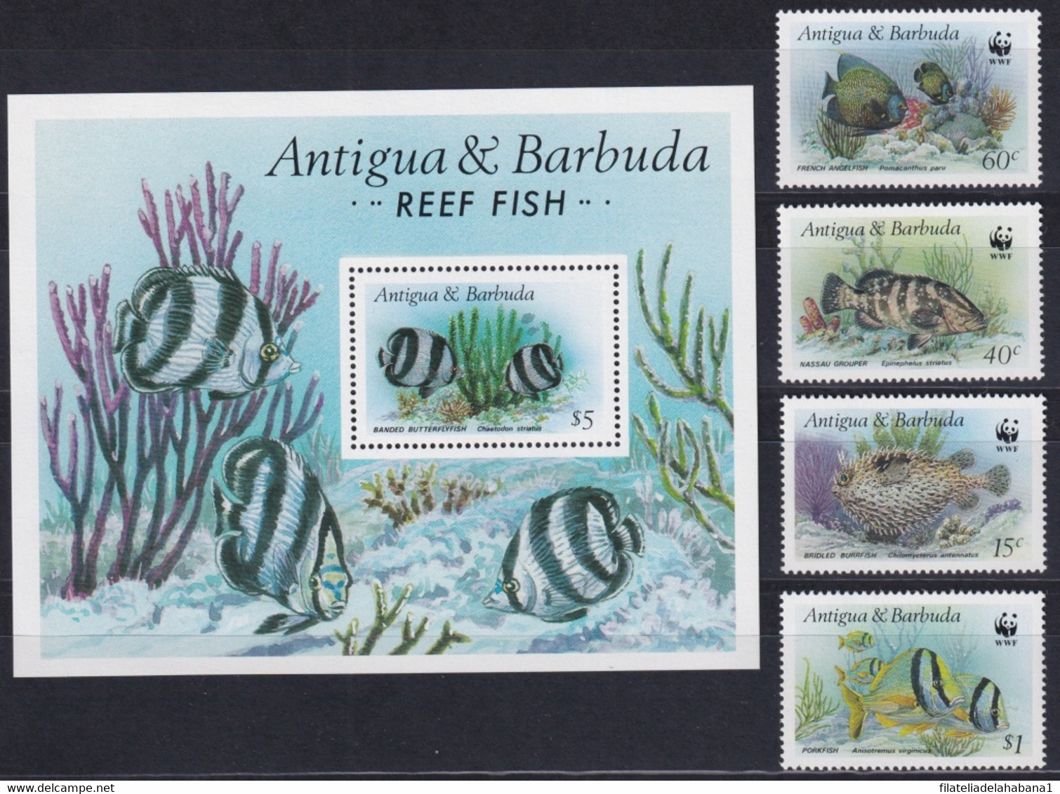 F-EX20379 ANTIGUA & BARBUDA MNH 1987 SEA MARINE WILDLIFE FISH CORAL UNDERWATER LIFE. - Vita Acquatica