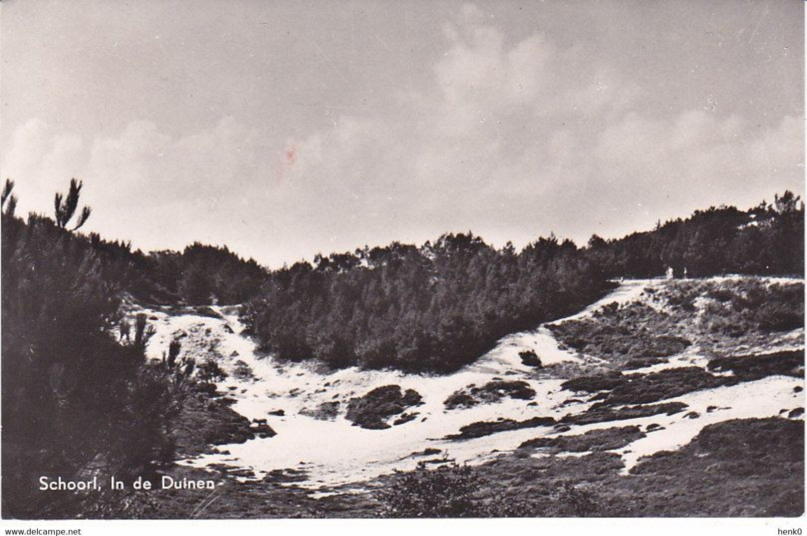 Schoorl In De Duinen VN339 - Schoorl