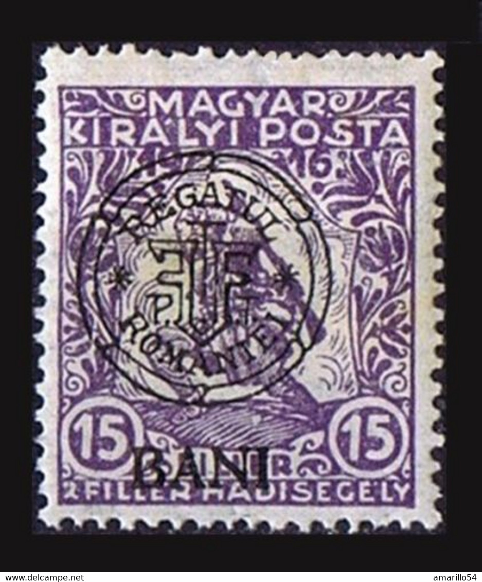 RAR Romania Rumänien 1919 Cluj Klausenburg Auf Kriegsfürsorge Marken Postfrisch - Transilvania