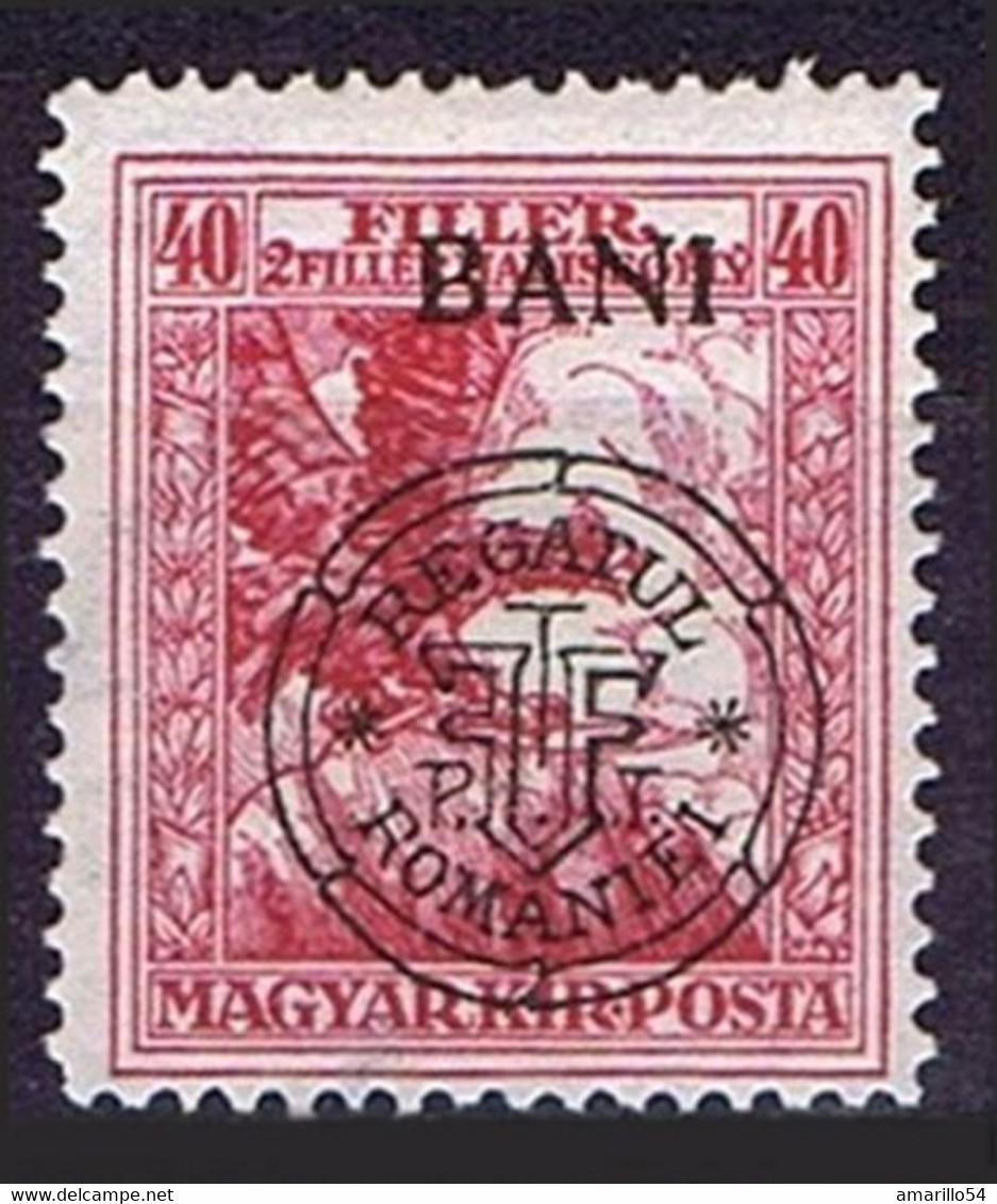 RAR Romania Rumänien 1919 Cluj Klausenburg Lilarot Auf Kriegsfürsorge Marken Postfrisch - Siebenbürgen (Transsylvanien)