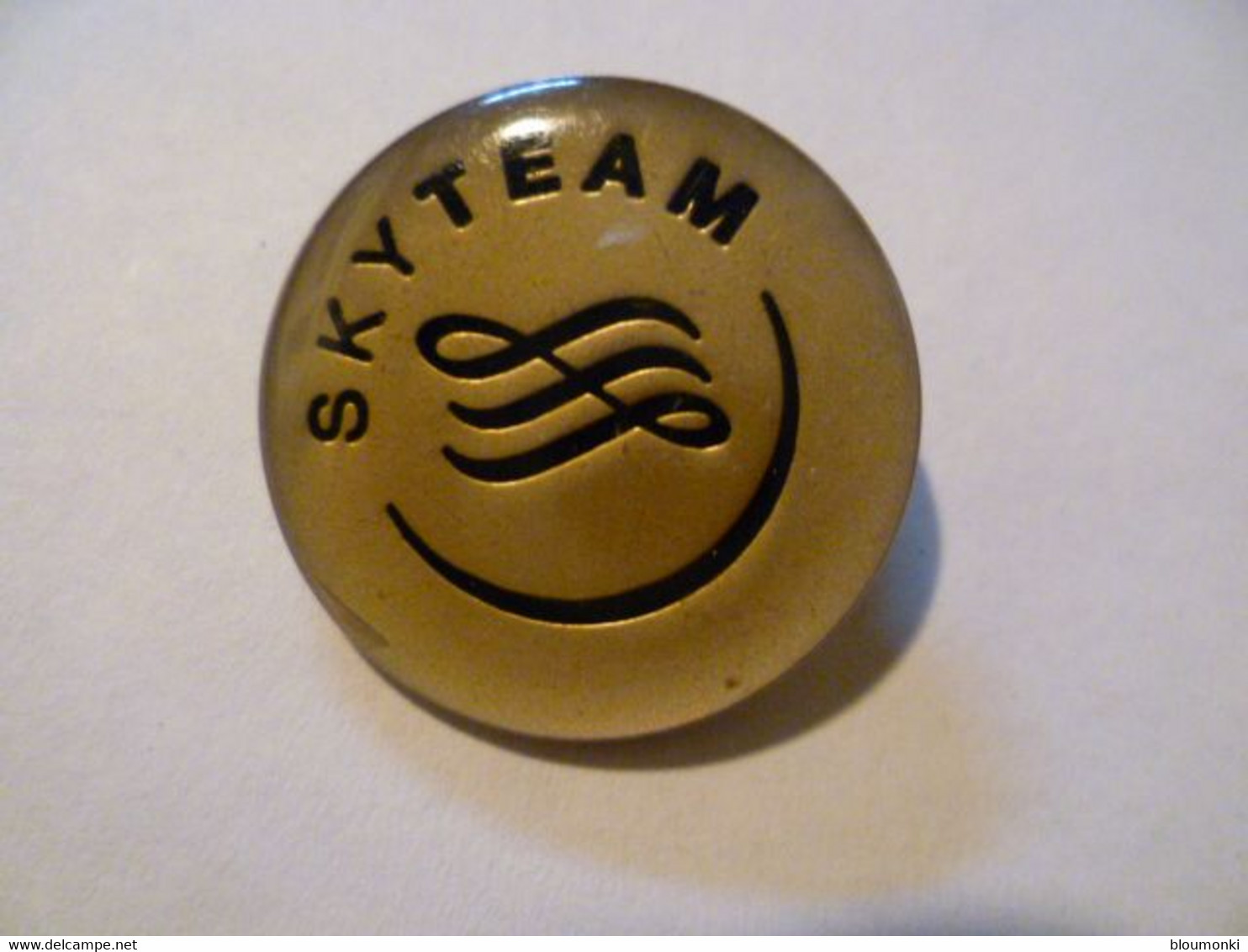 Broche Air France SKY TEAM - Distintivi Equipaggio