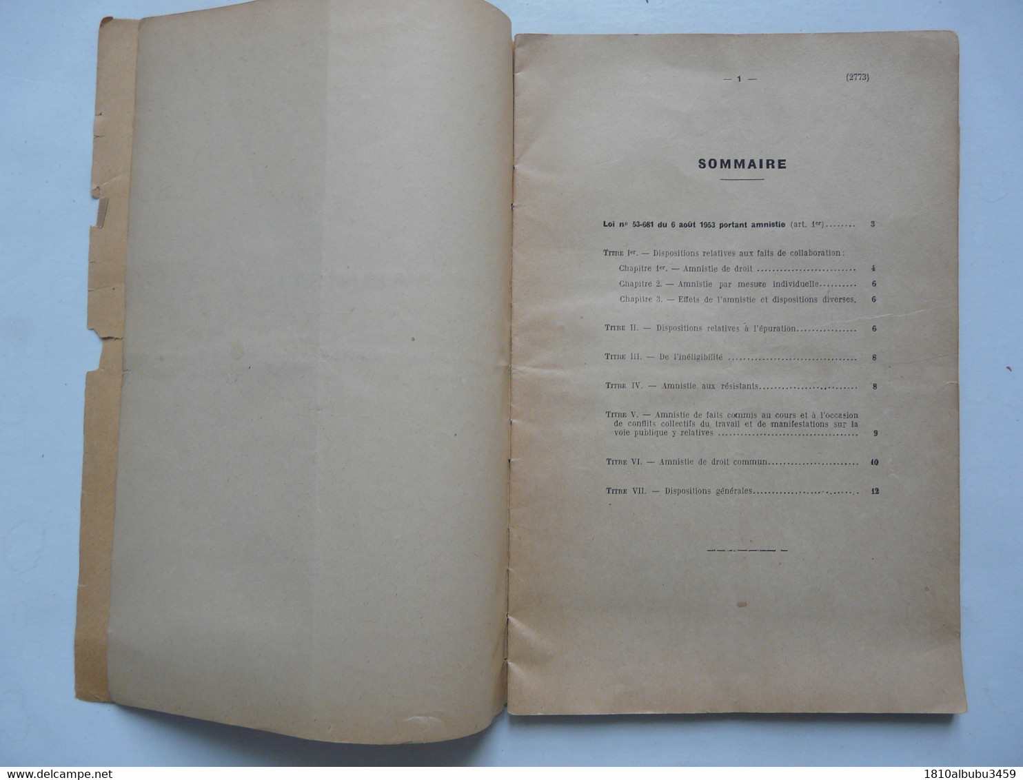 AMNISTIE - Tirage à Part JOURNAL OFFICIEL 1953 - Droit