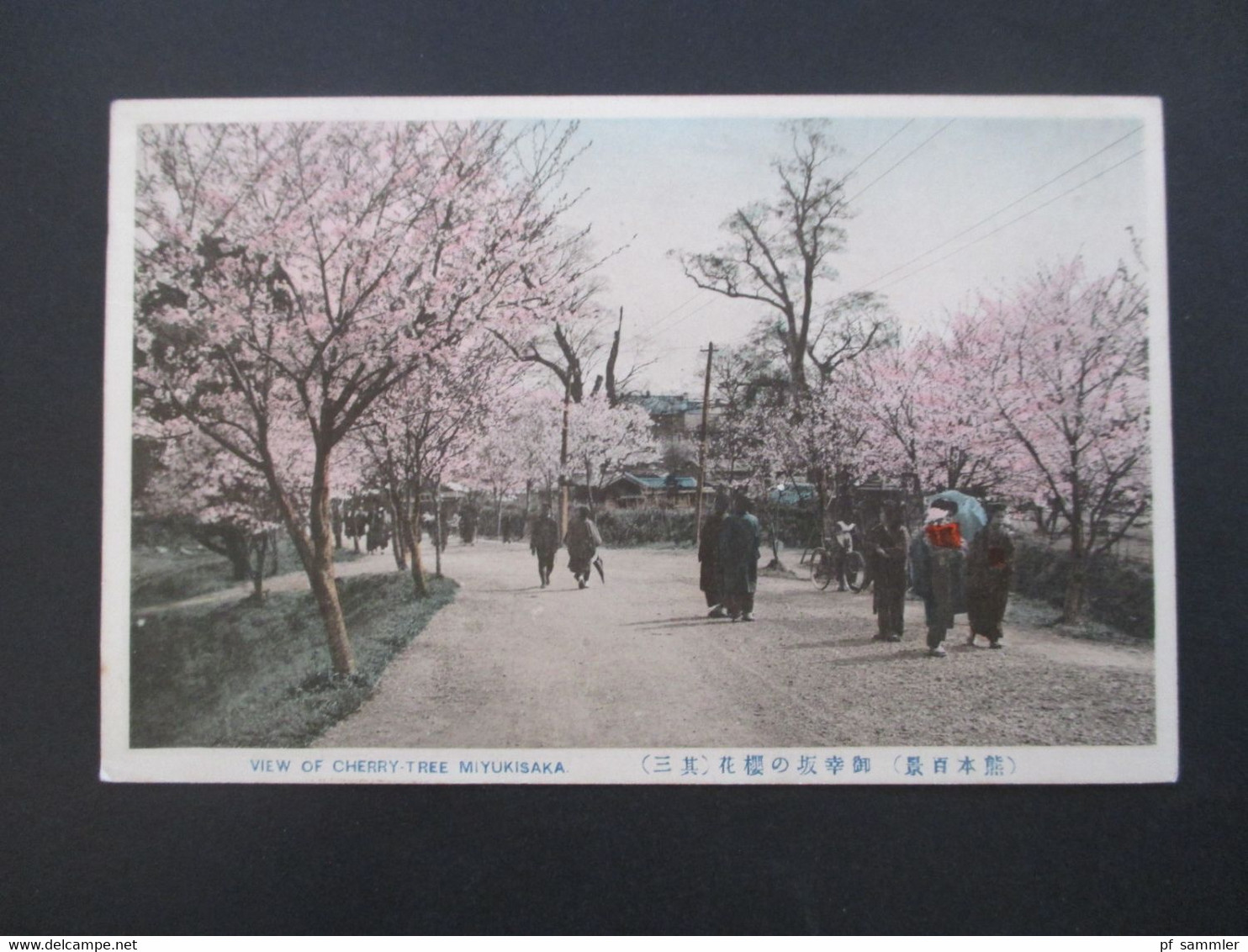 Japan 1914 AK View Of Cherry Tree Miyukisaka Mit 4 Sondermarken Mit Violettem Sonderstempel - Brieven En Documenten