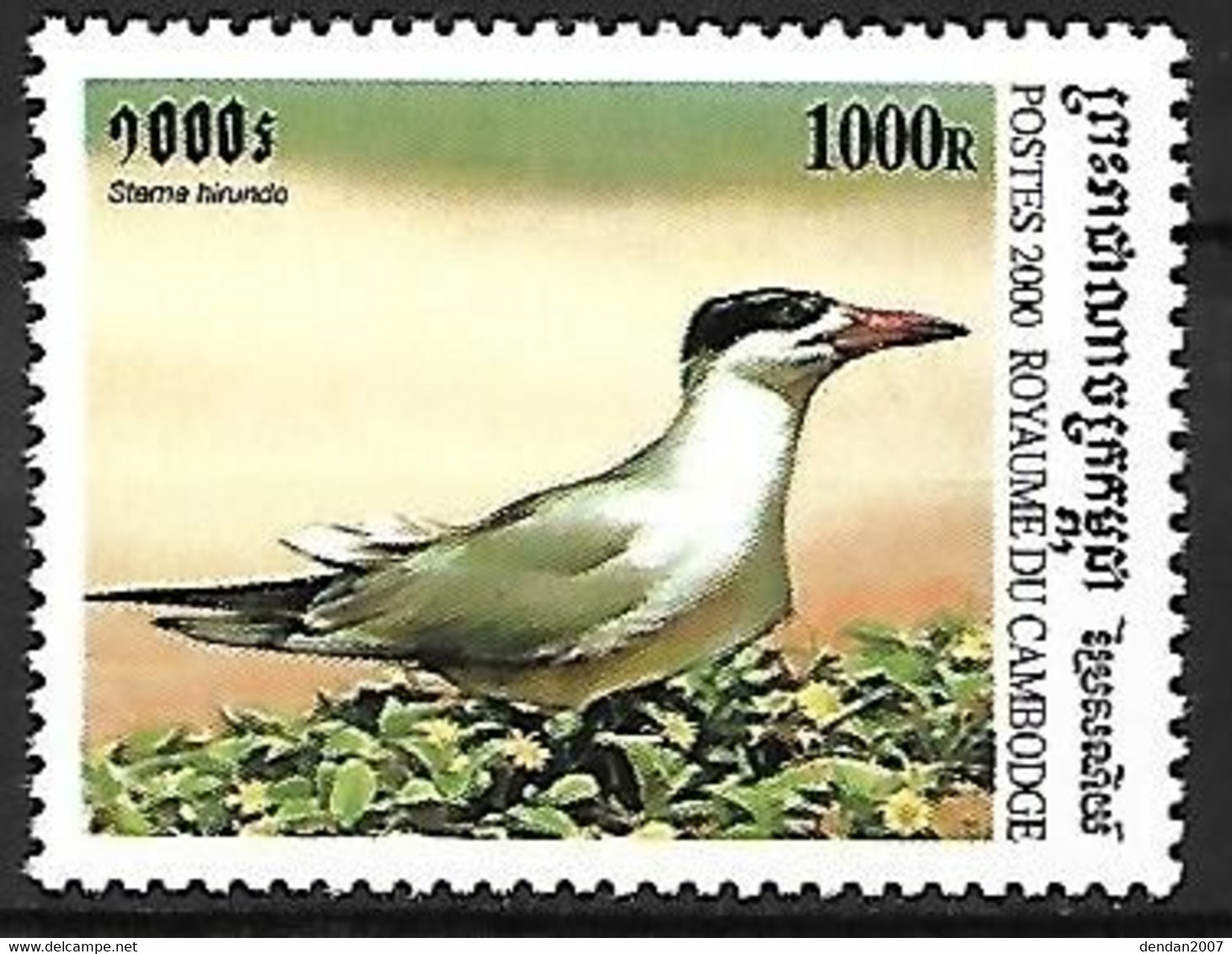 Cambodia - MNH ** 2000 :   Caspian Tern  - Hydroprogne Caspia - Meeuwen