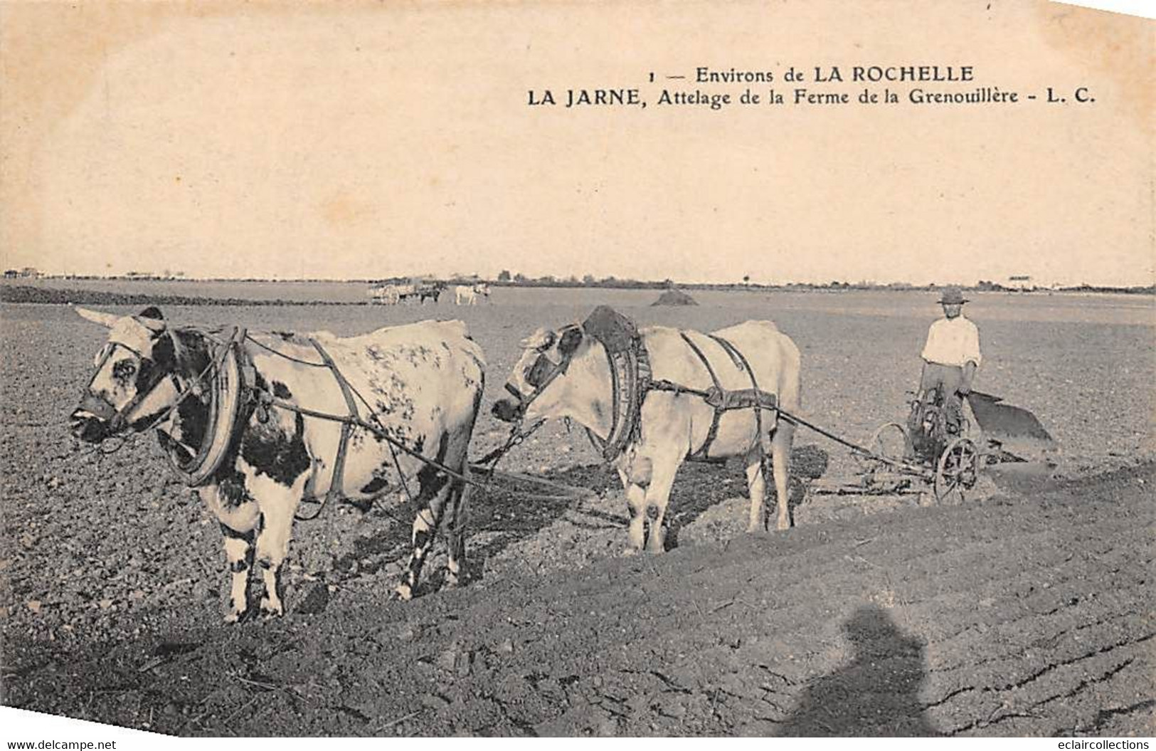 La Jarne         17     Attelage De La Ferme De La Grenouillère       (voir Scan) - Otros & Sin Clasificación