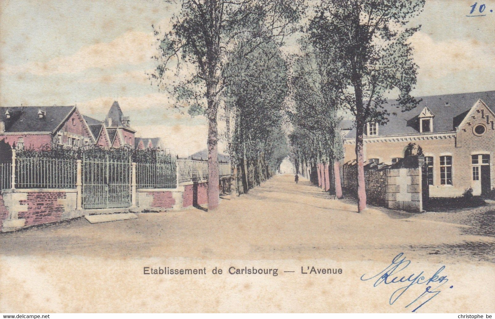 Etablissement De Carlsbourg, L'avenue (pk74247) - Paliseul