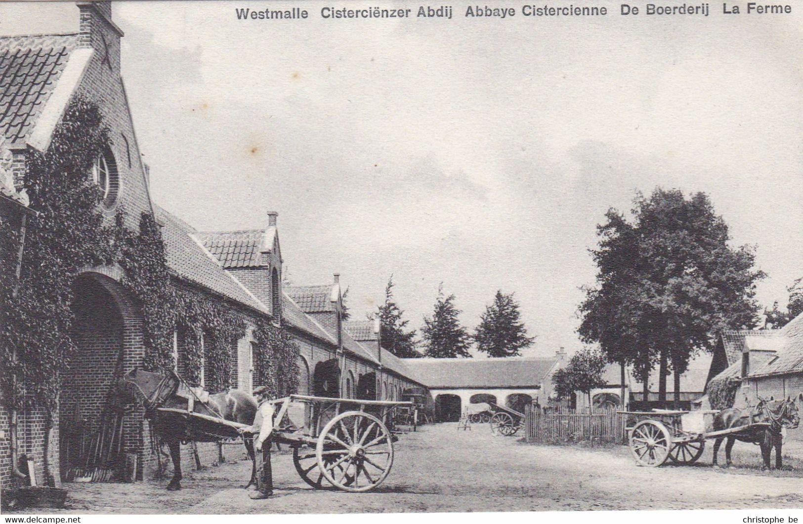 Westmalle, Cisterciënzer Abdij, De Boerderij (pk74287) - Malle