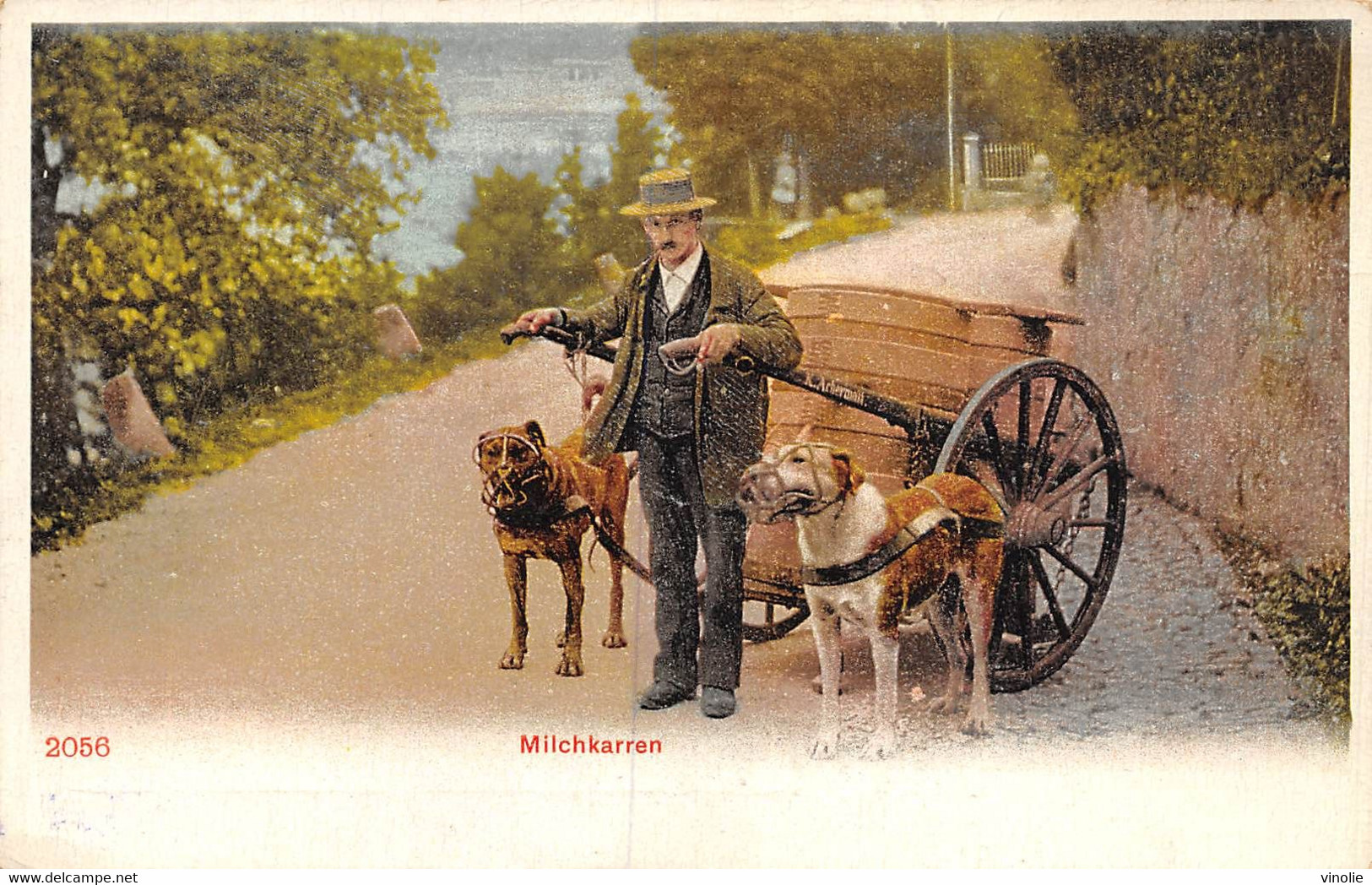 PIE-DR-20-1571 : MILCHKARREN. TRANSPORT DU LAIT AVEC VOITURE ET CHIENS. VOITURE A CHIEN. - Port