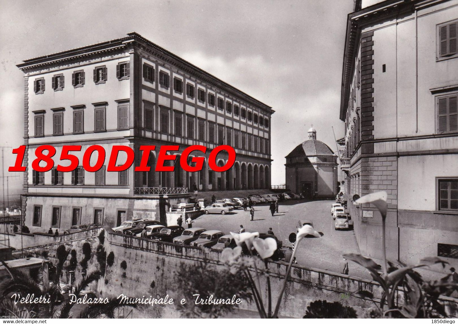 VELLETRI - PALAZZO MUNICIPALE E TRIBUNALE F/GRANDE VIAGGIATA 1962 ANIMATA - Velletri