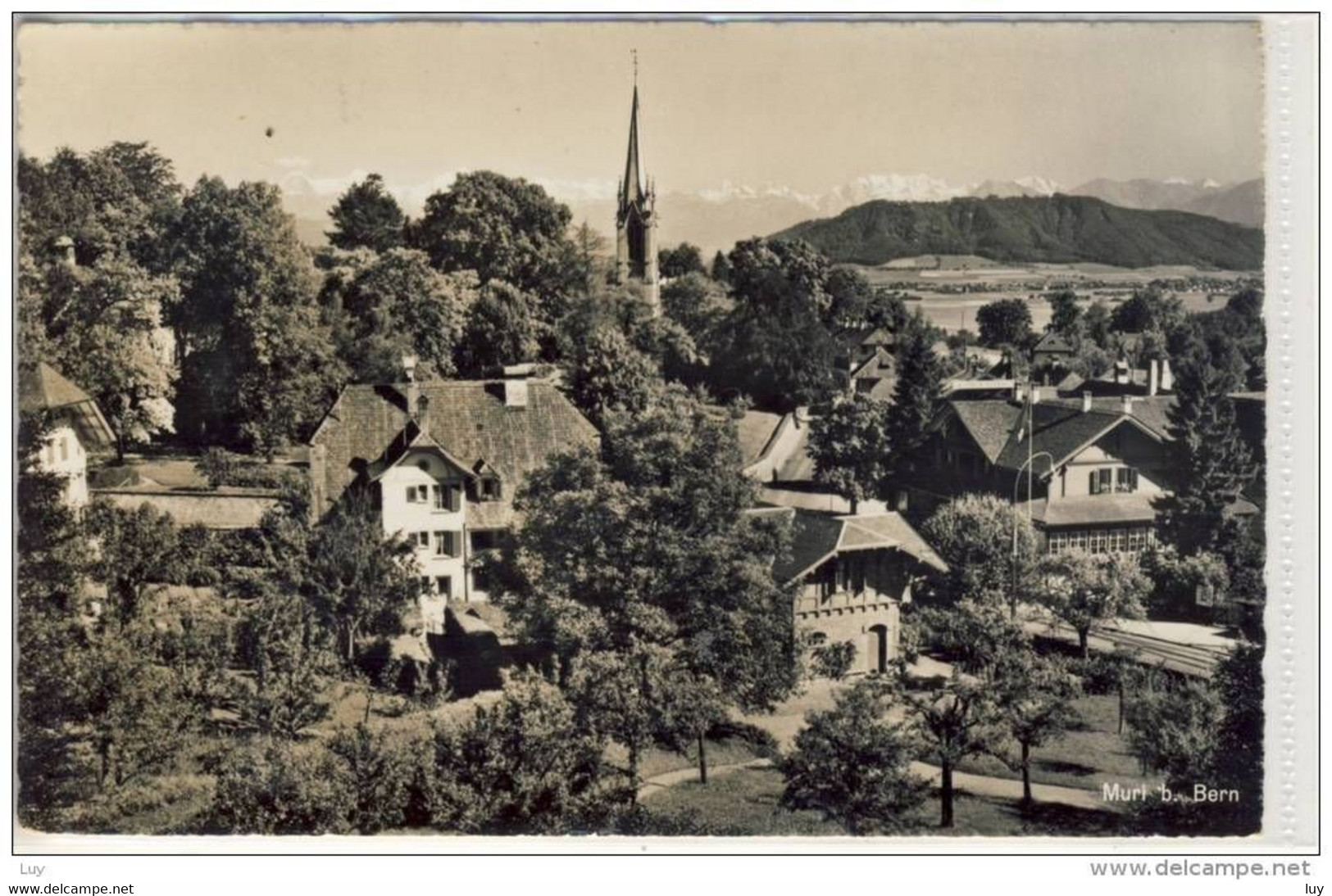 MURI Bei BERN   Panorama  Schöner Stempel - Muri Bei Bern