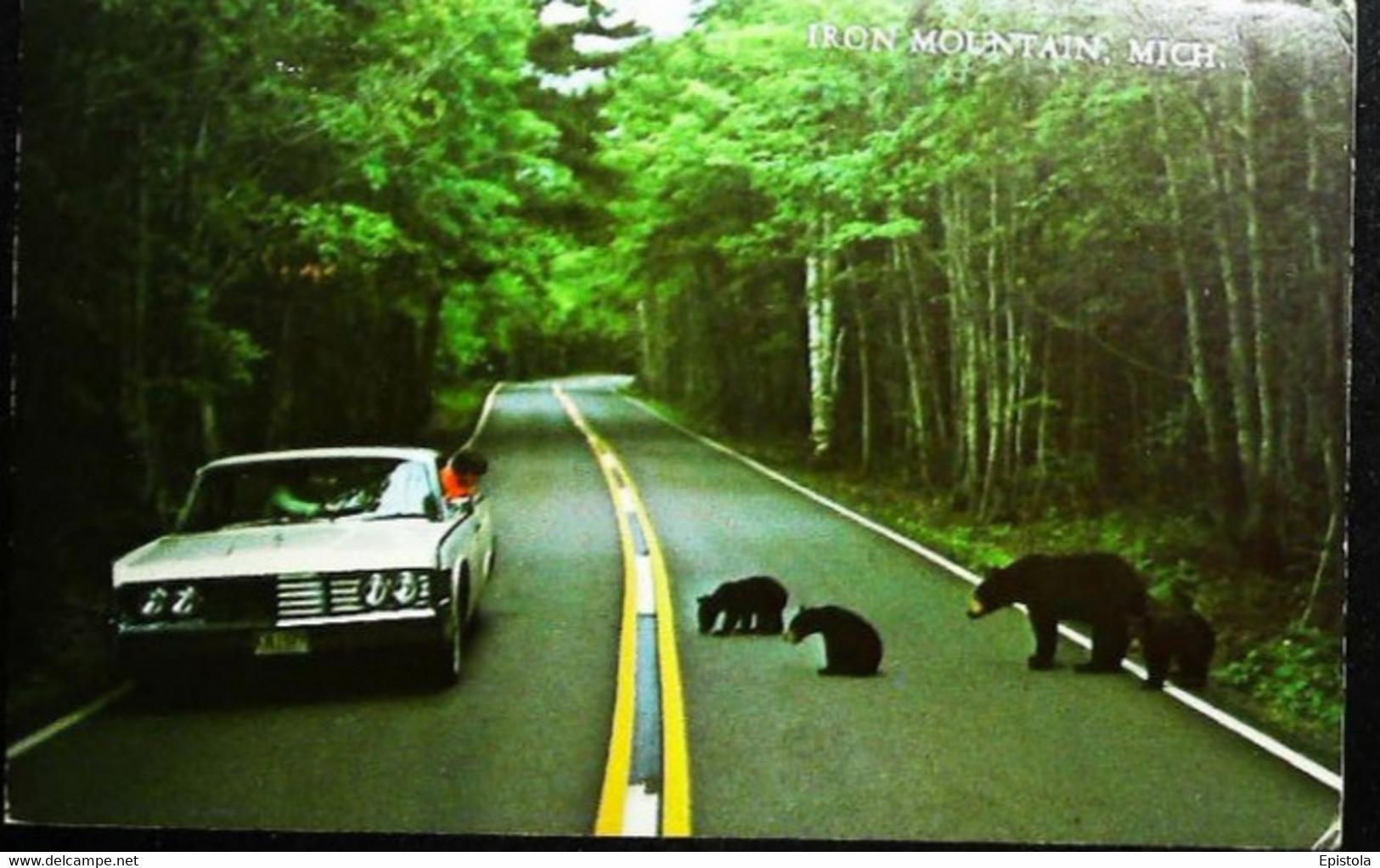► AUTOMOBILE  & Bears  - IRON MOUNTAIN Michigan  National Park 1975 - USA National Parks