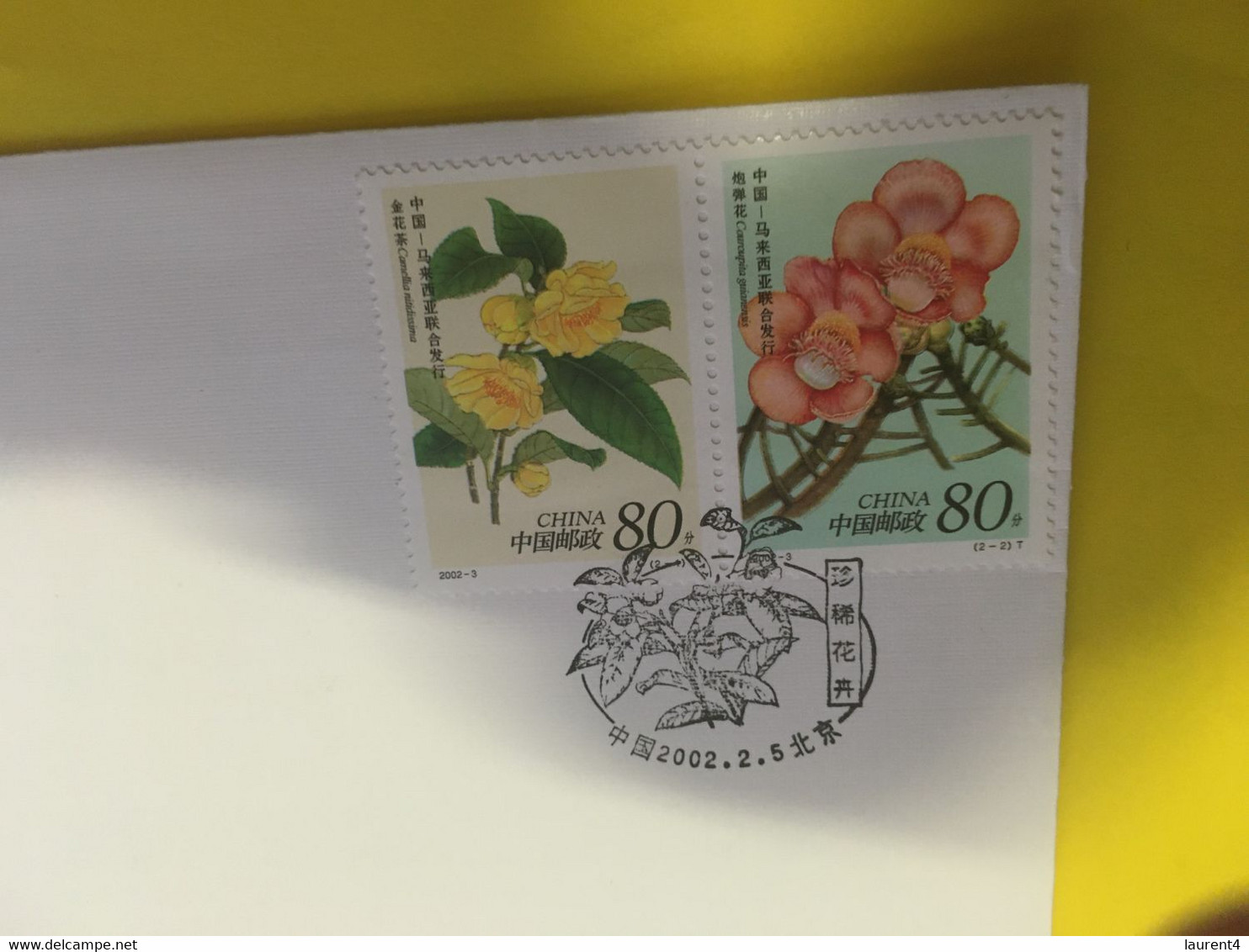 (X 14 A) China FDC Cover - Flowers  (2002) - Gebruikt