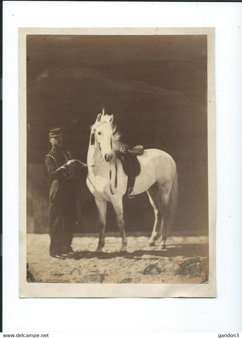 PHOTOGRAPHIE    Ancienne  :    Cavalier  Et Son Cheval - Other & Unclassified