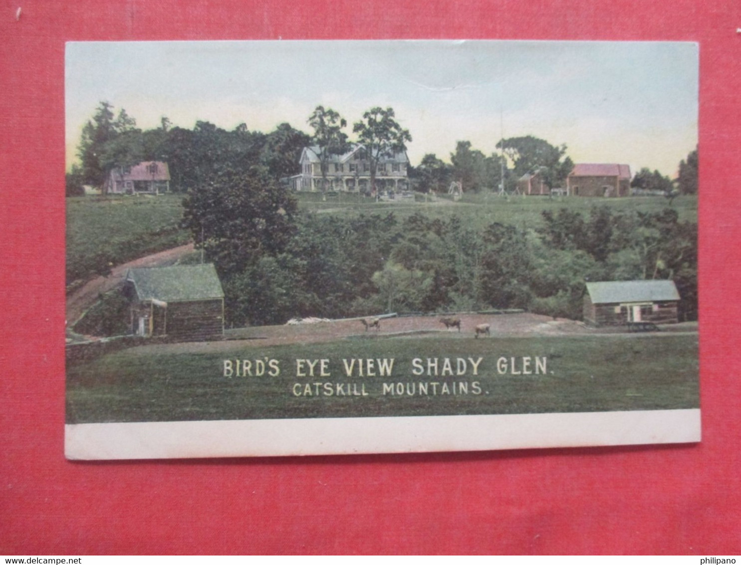 Bird's Eye View Shady Glen  New York > Catskills Ref  4506 - Catskills
