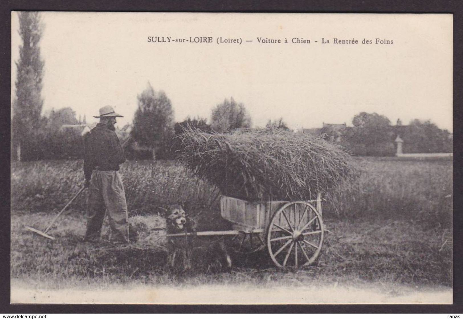 CPA [45] Loiret Sully Sur Loire Voiture à Chien Métier écrite - Sully Sur Loire