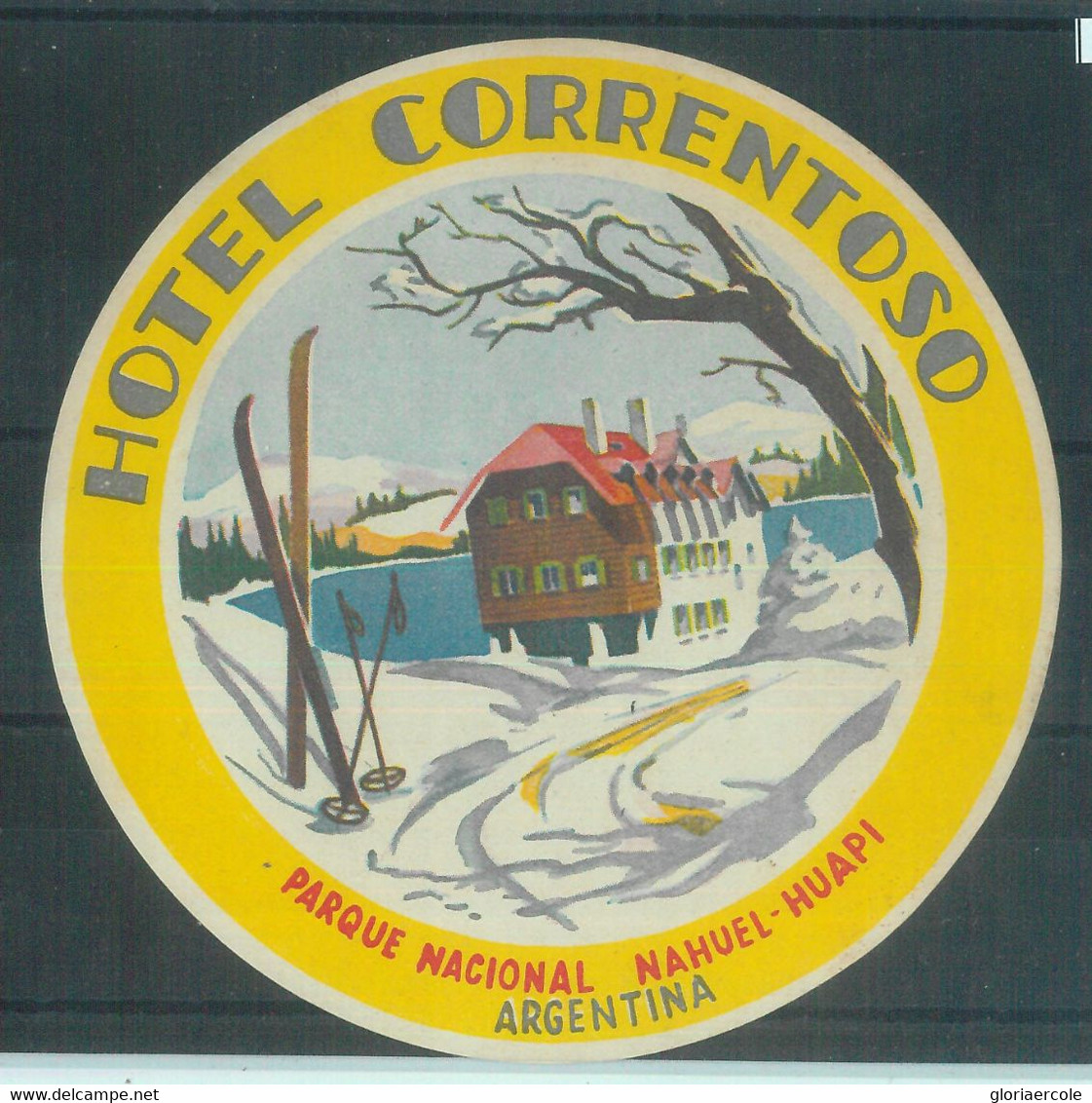 87072 - ARGENTINA - Vintage Hotel LABEL - Hotel CORRENTOSO Hauel-Huapi - Hotel Labels