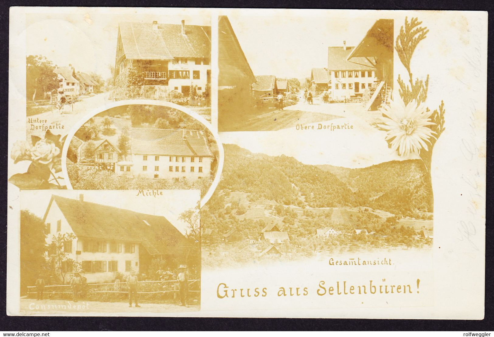 1903 Foto AK, Gruss Aus Sellenbüren, 5 Bildrig, Konsum, Mühle, Untere Und Obere Dorfpartie. Gestempelt Stallikon. Leicht - Dorf