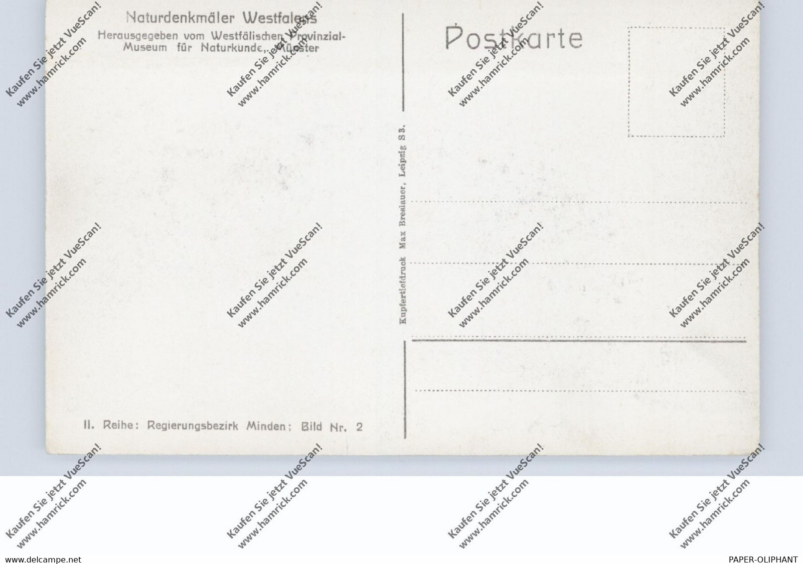 4980 BÜNDE, Doberg Bei Bünde - Buende