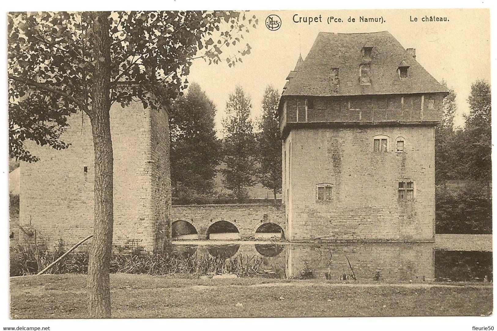 CRUPET (Pce De Namur) Le Château. Ed; Nels, Bruxelles N° 222. - Assesse