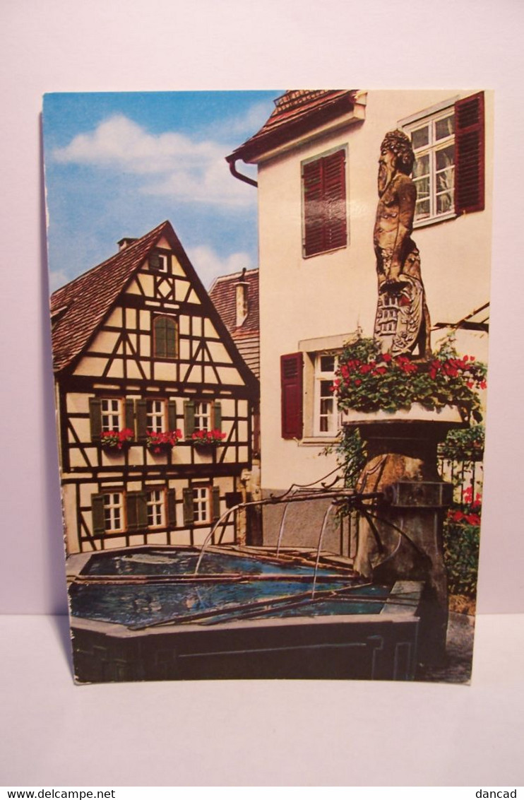 MARBACH  - Am Neckar  - Wider-Mann-Brunnen  - FONTAINE    -  ( Pas De Reflet Sur L'original ) - Marbach